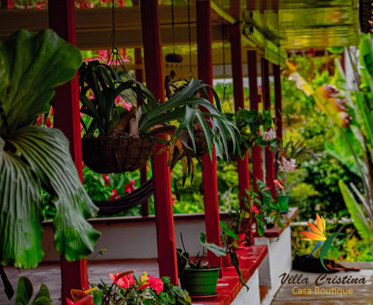 Garden view in Villa Cristina - Casa Boutique