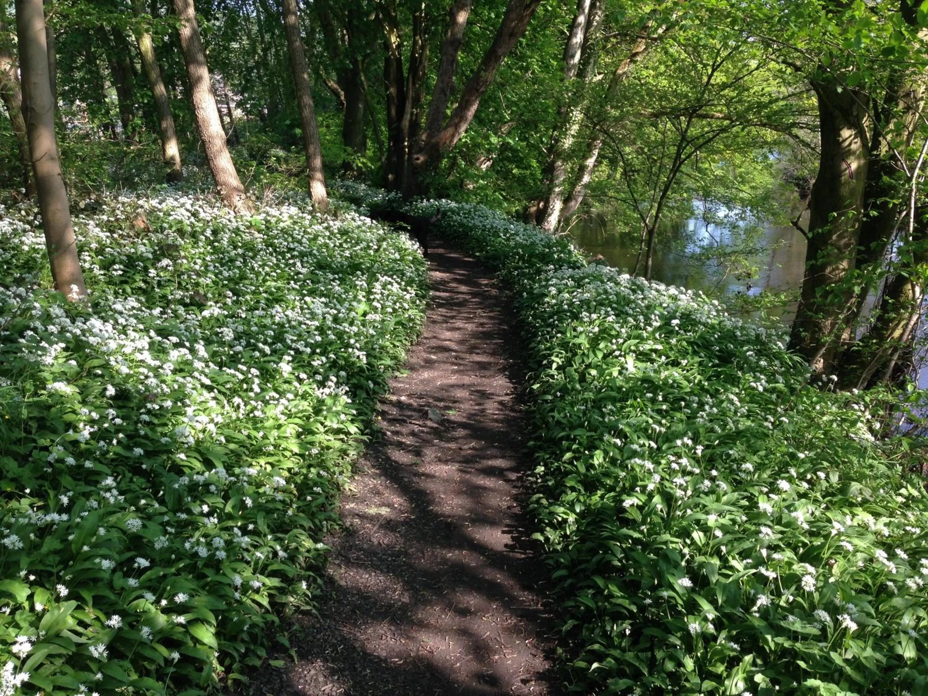 Natural landscape in The Old Station House