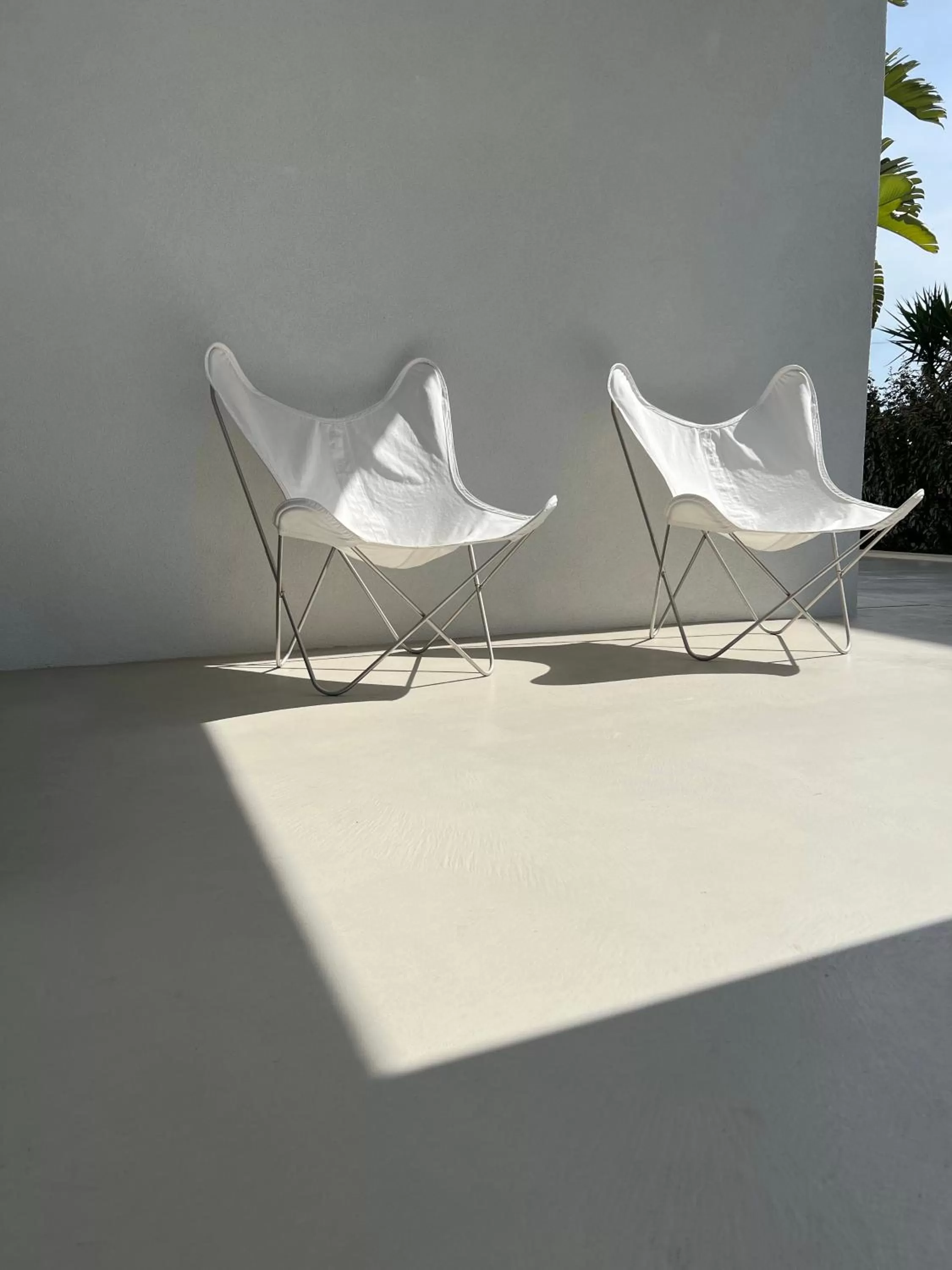 Property building in CinziaHome