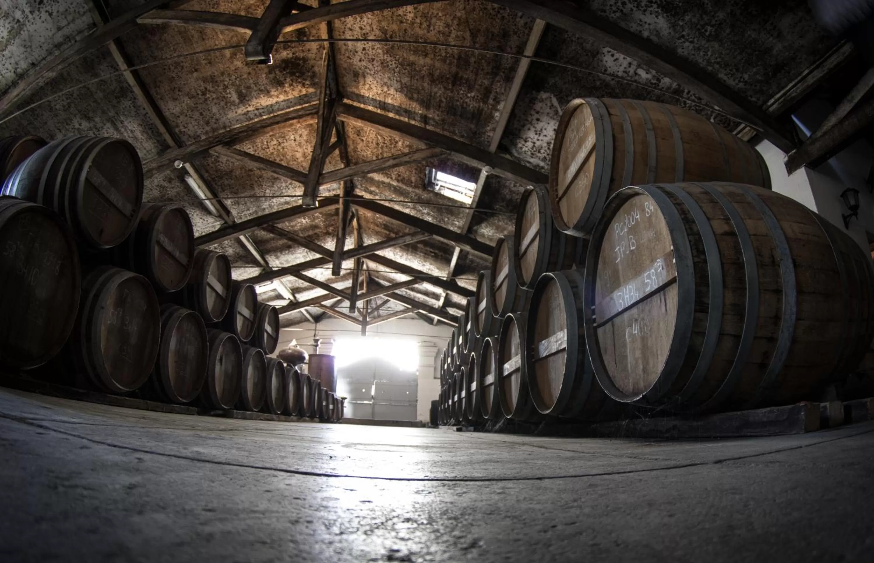 Off site in ibis Budget Cognac