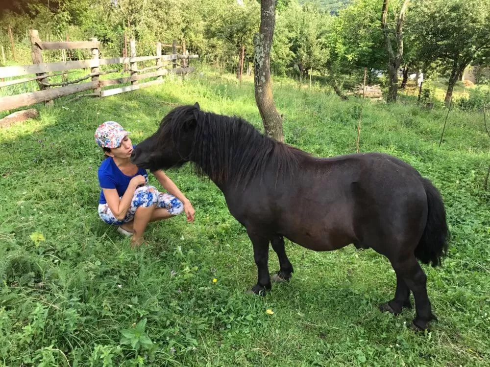 Day in Pensiunea SilvAnka