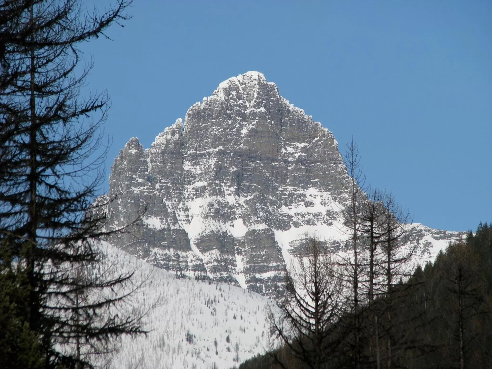 Area and facilities in Glacier Haven Inn