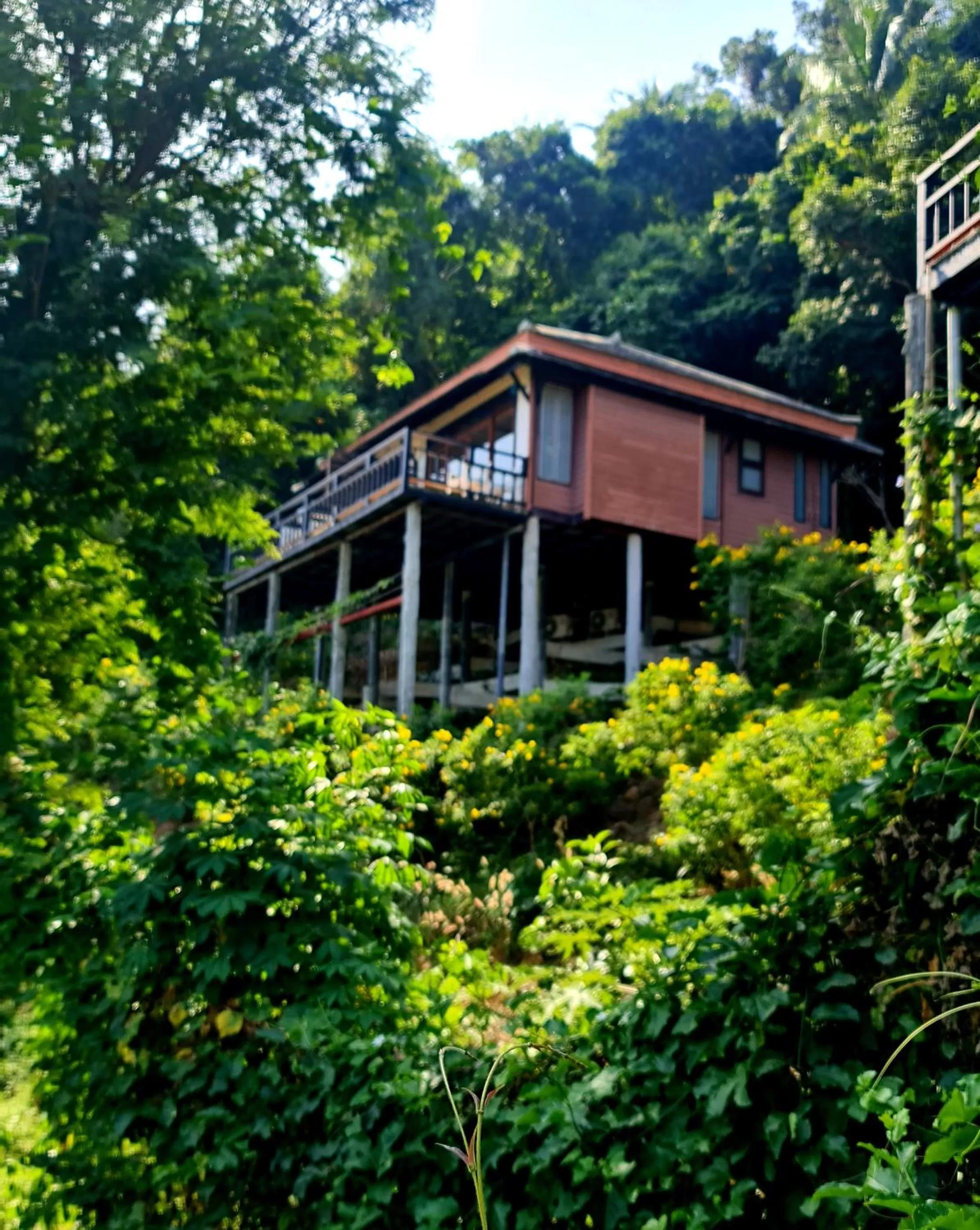 Property building in Thanya Beach Resort - SHA Plus