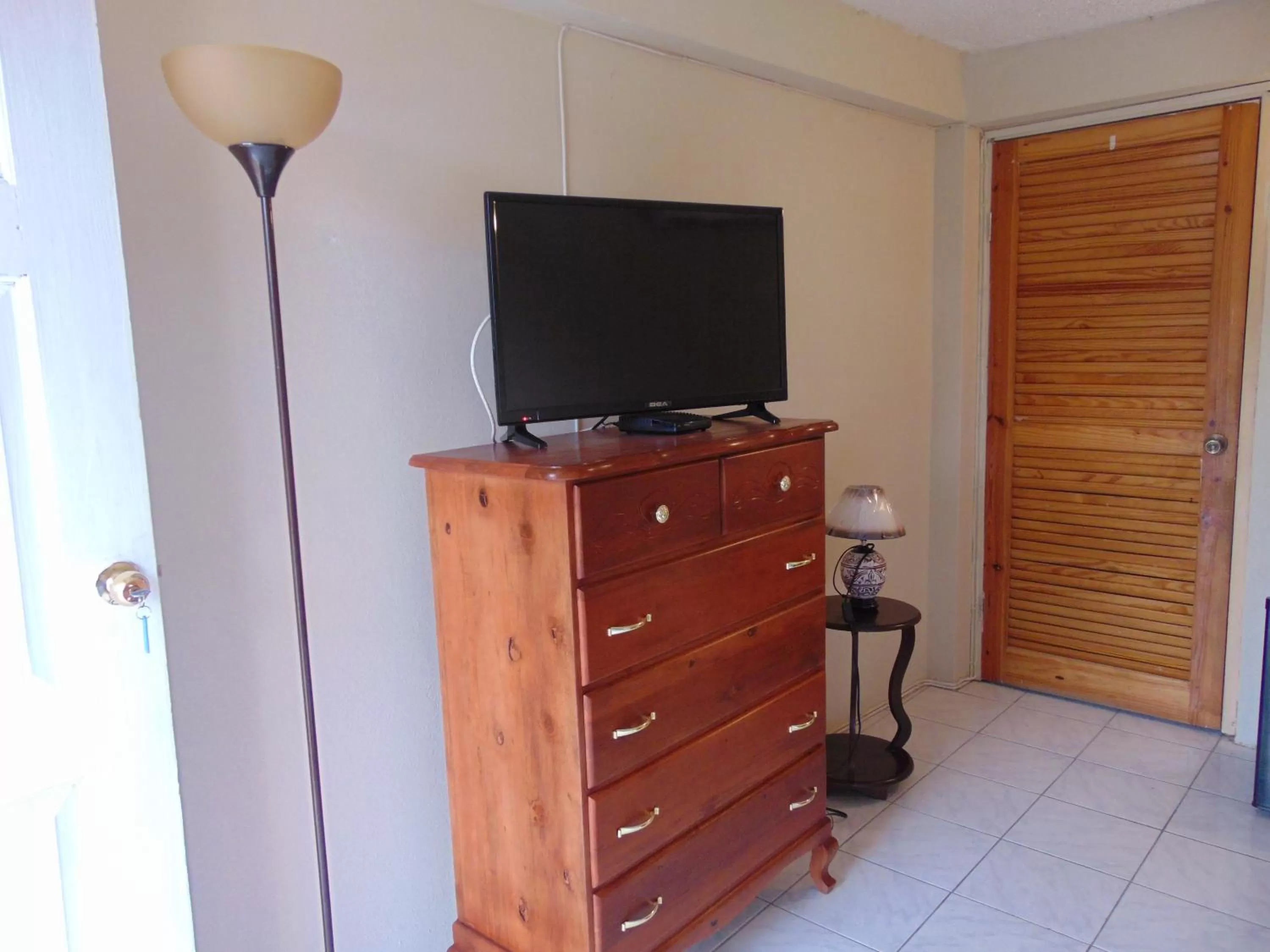 TV/Entertainment Center in Tropical Manor Inn - Kingston
