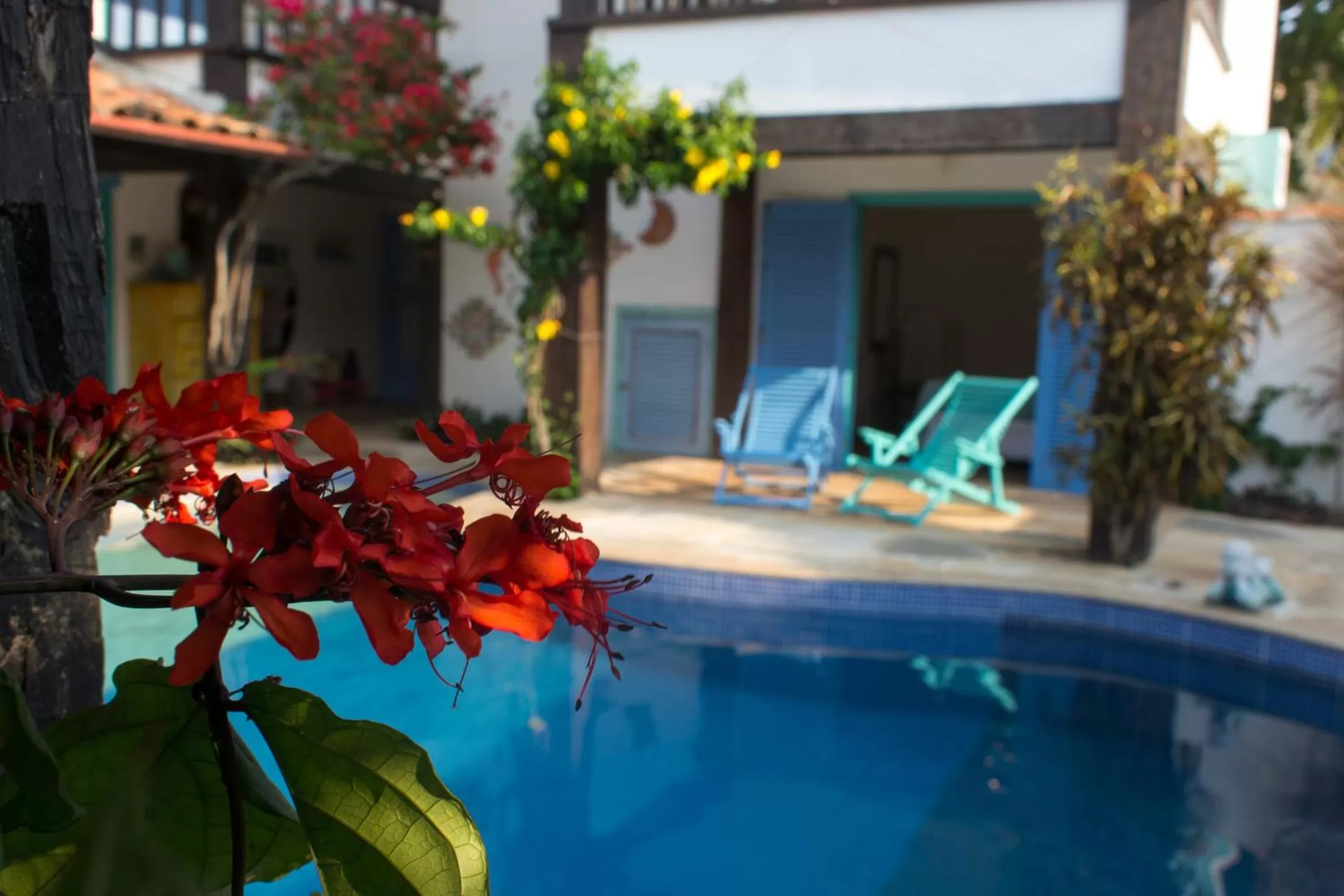 Swimming pool, Property Building in Vila Bela-Emília