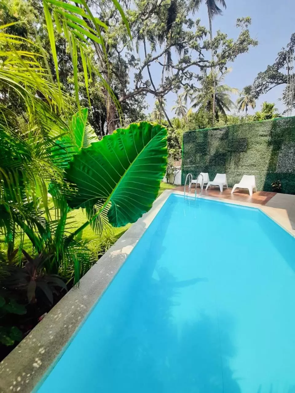 Pool View in HALF Hotel, Calangute