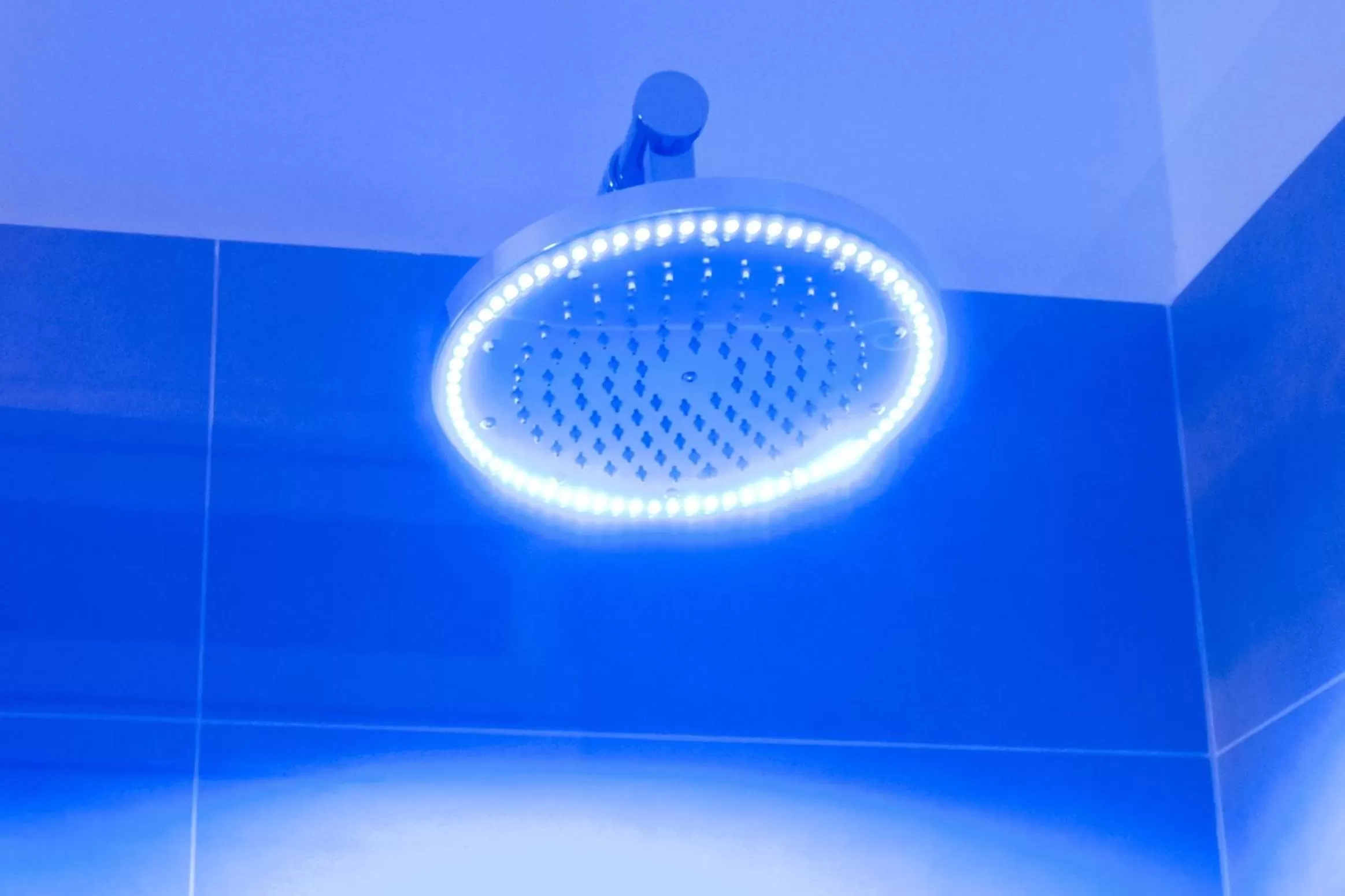 Decorative detail in Domus Fontis