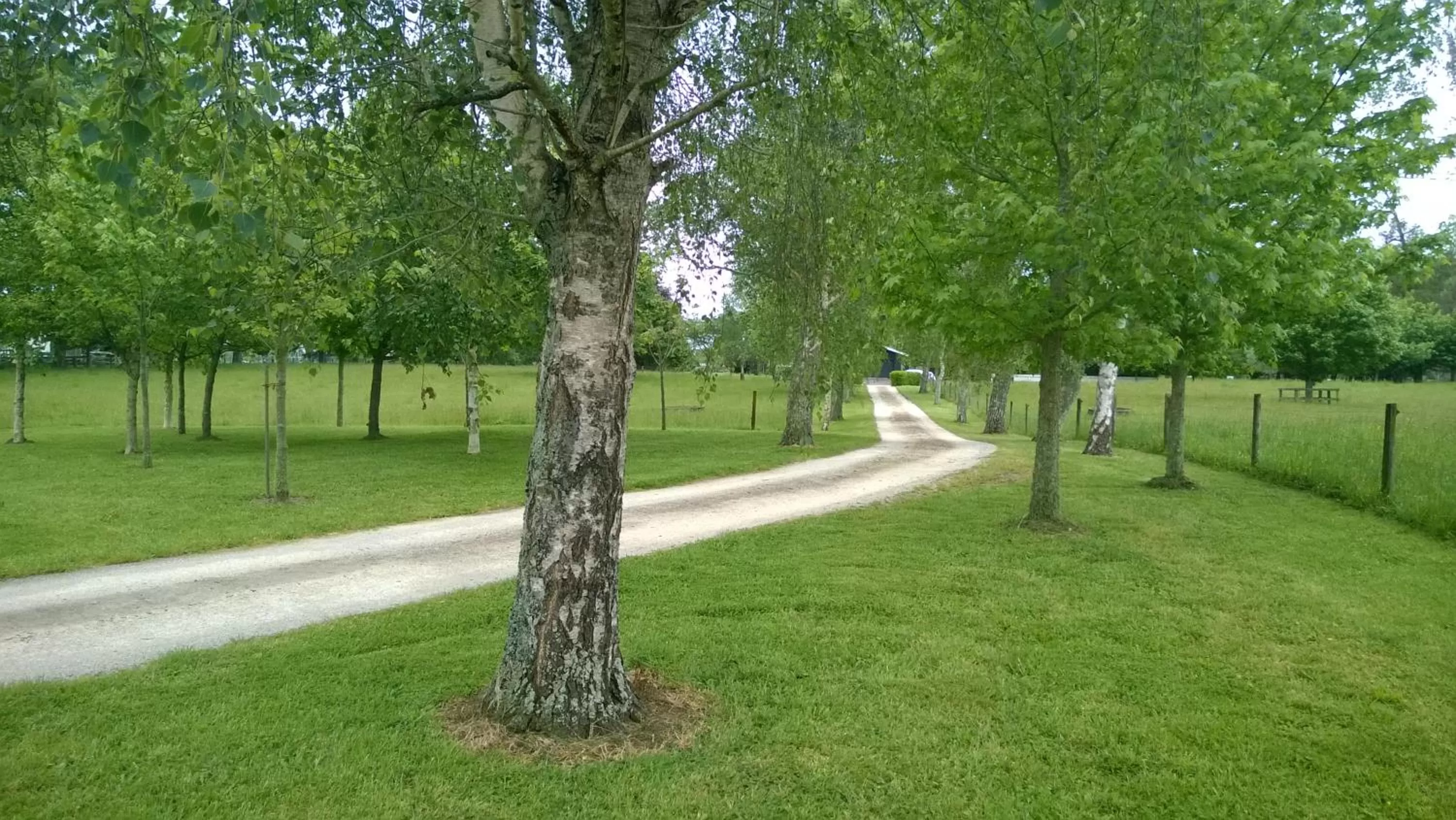 Natural landscape, Garden in Korbaylen Estate