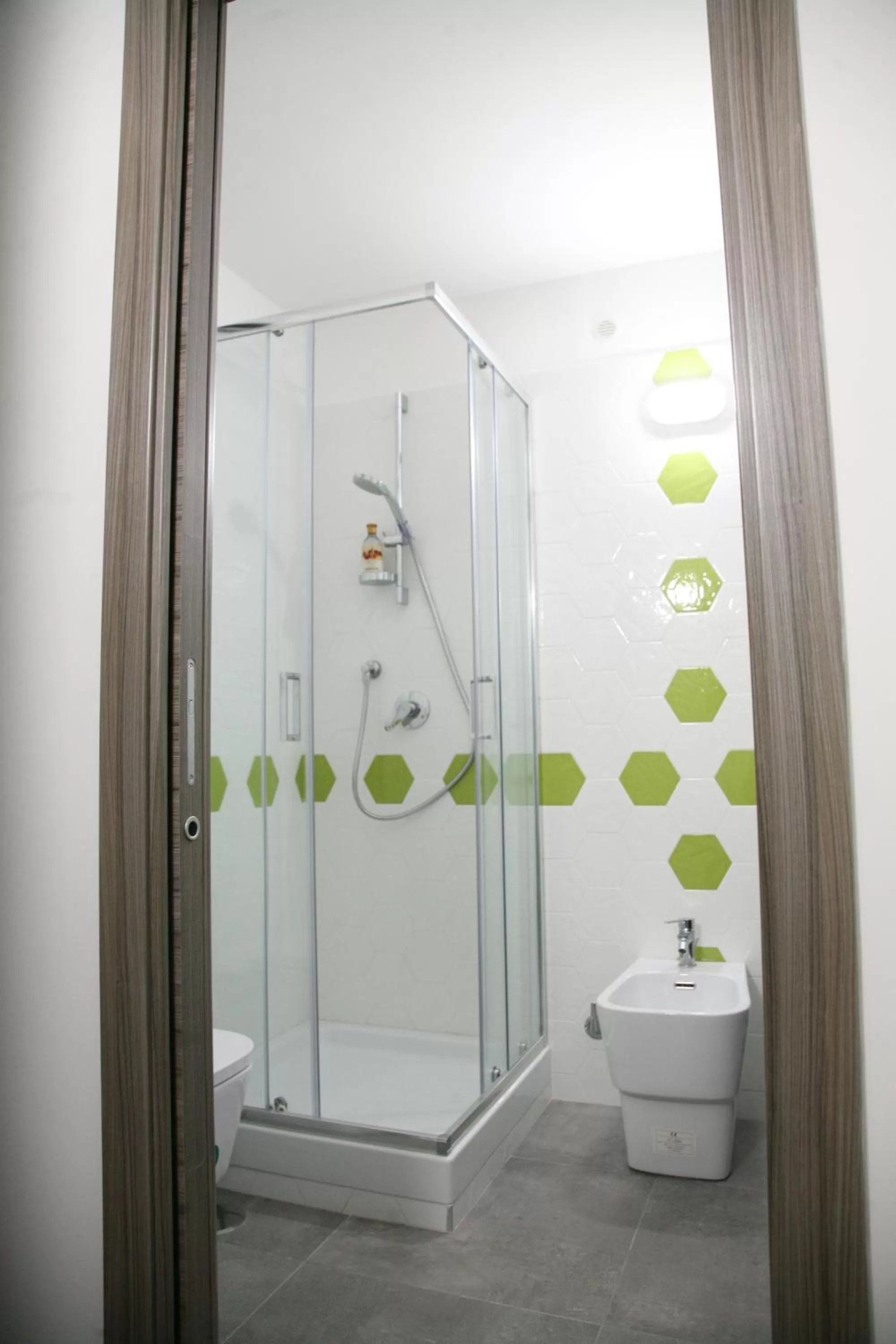 Shower in ALYSSA HOUSE