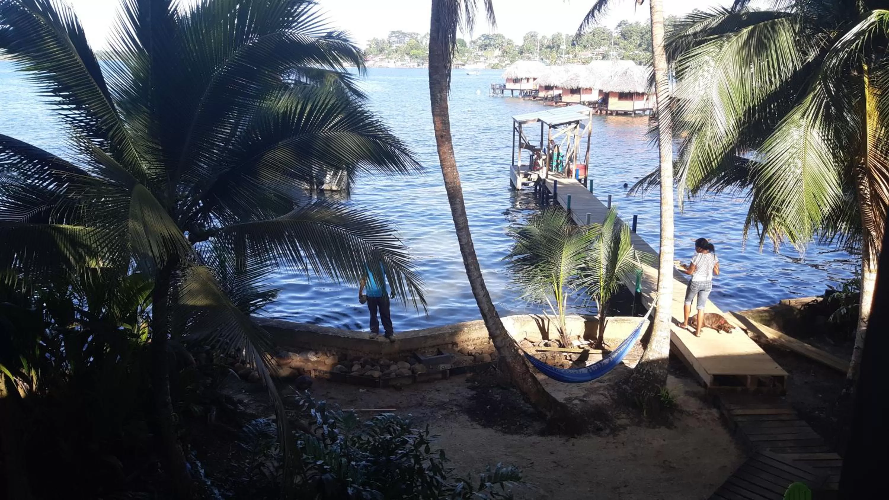Pool View in Carmen's place