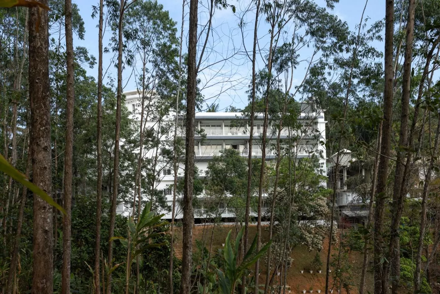 Spring, Property Building in HOTEL WHITE HOUSE, Munnar