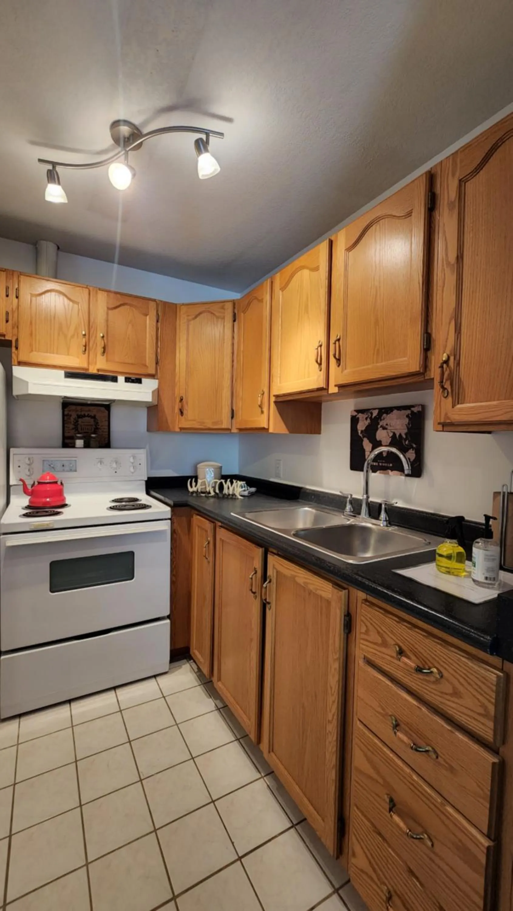 Kitchen or kitchenette in Mountain View Inn