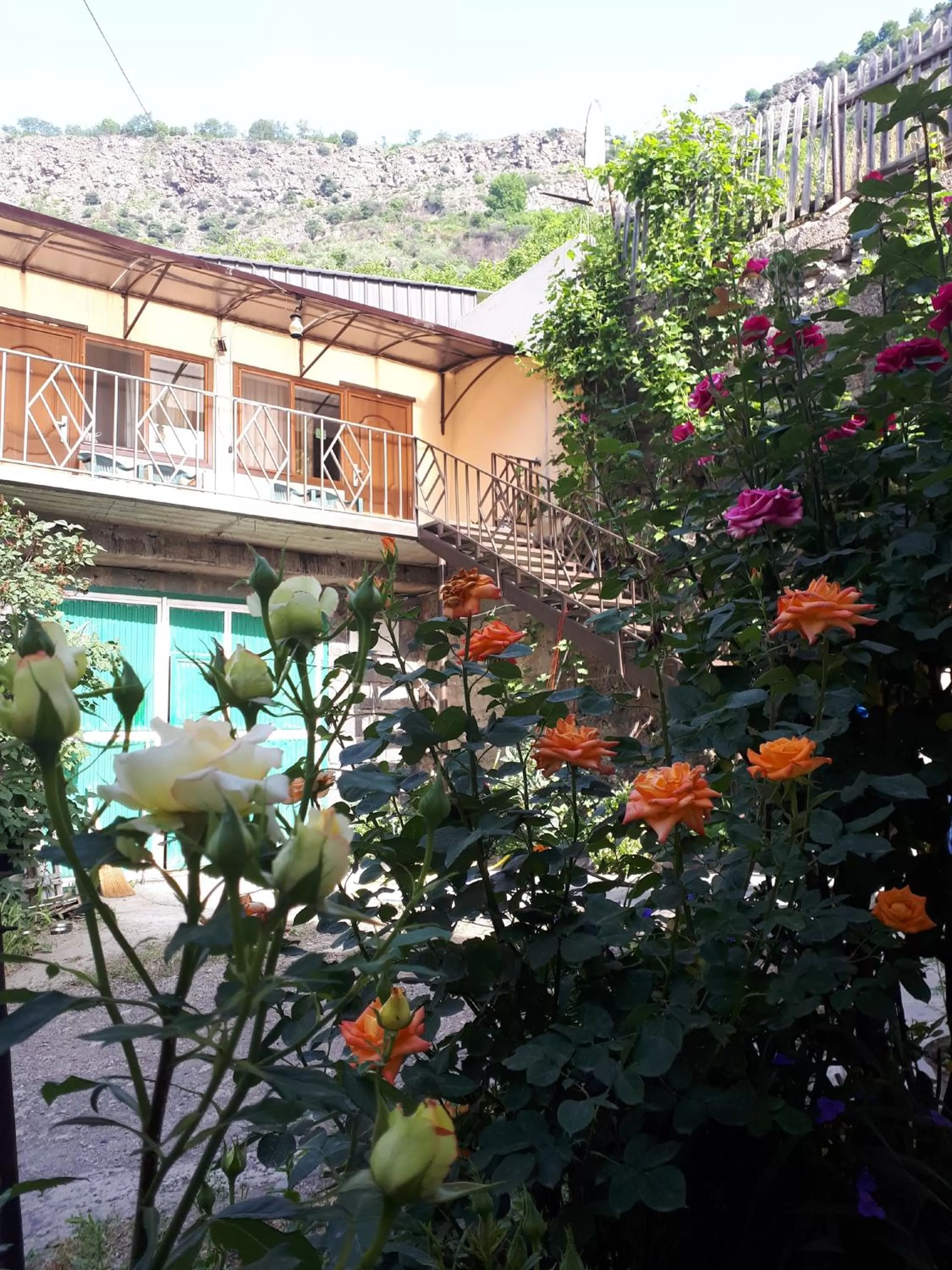 Garden view, Swimming Pool in IRIS B&B in DEBED CANYON