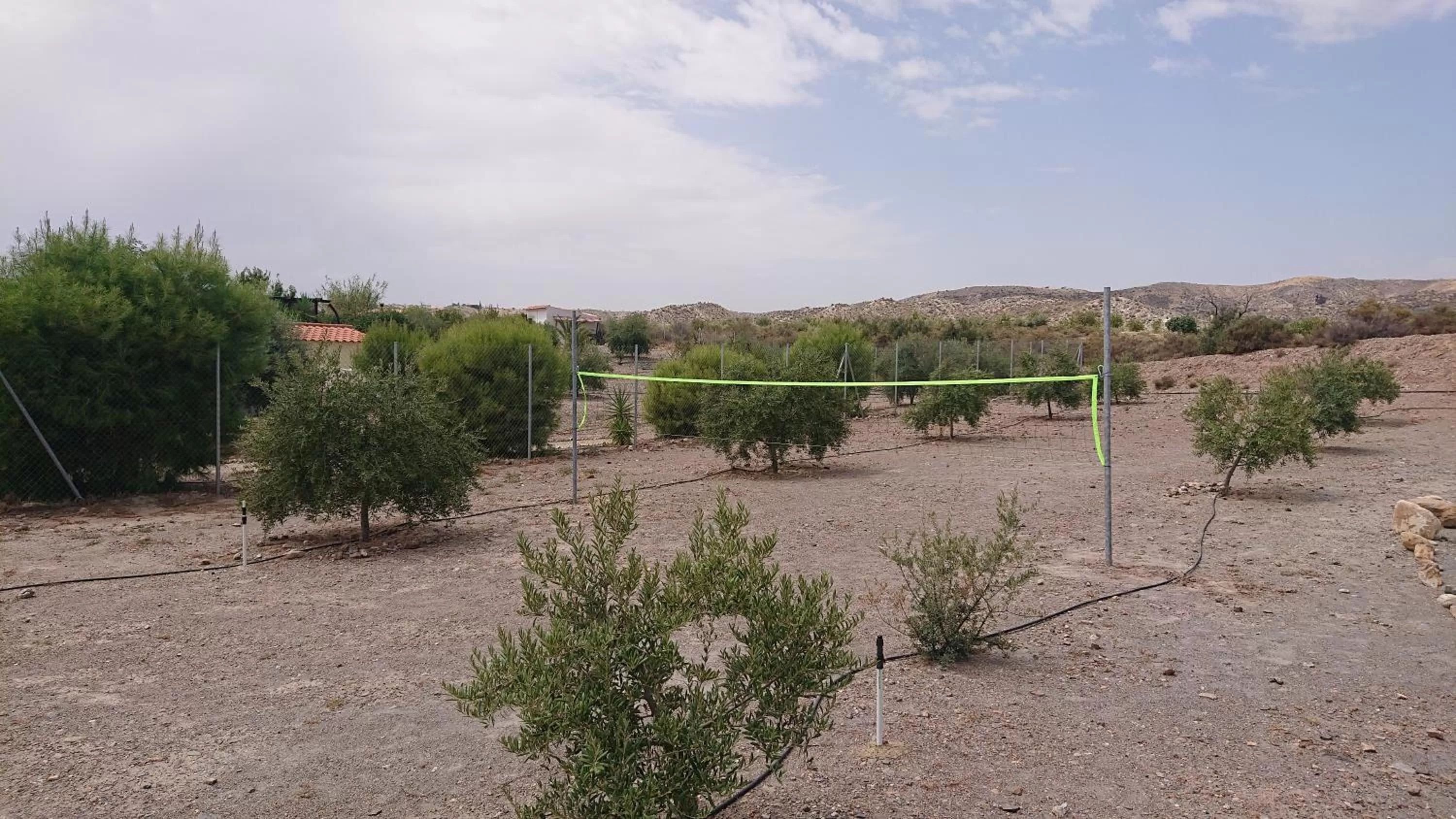 Sports in Mas Solana