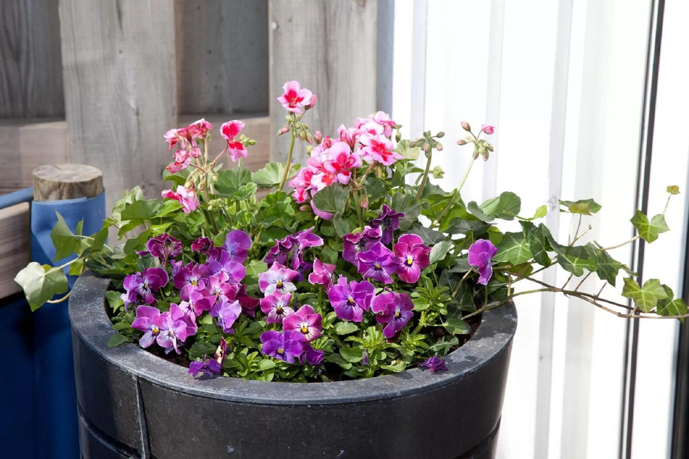 Other in Rasta Falköping