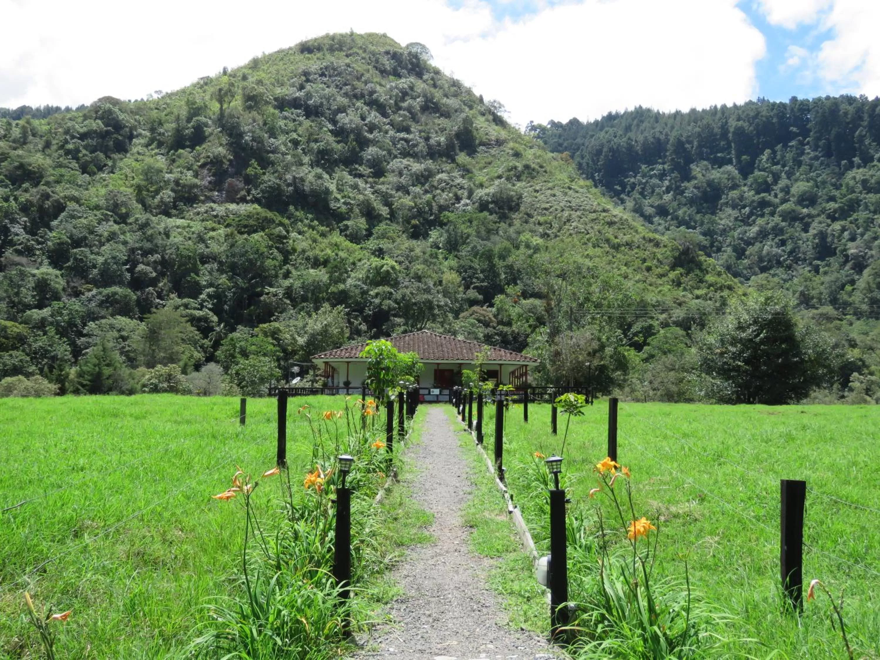 Natural Landscape in La Cabaña Ecohotel - Valle del Cocora
