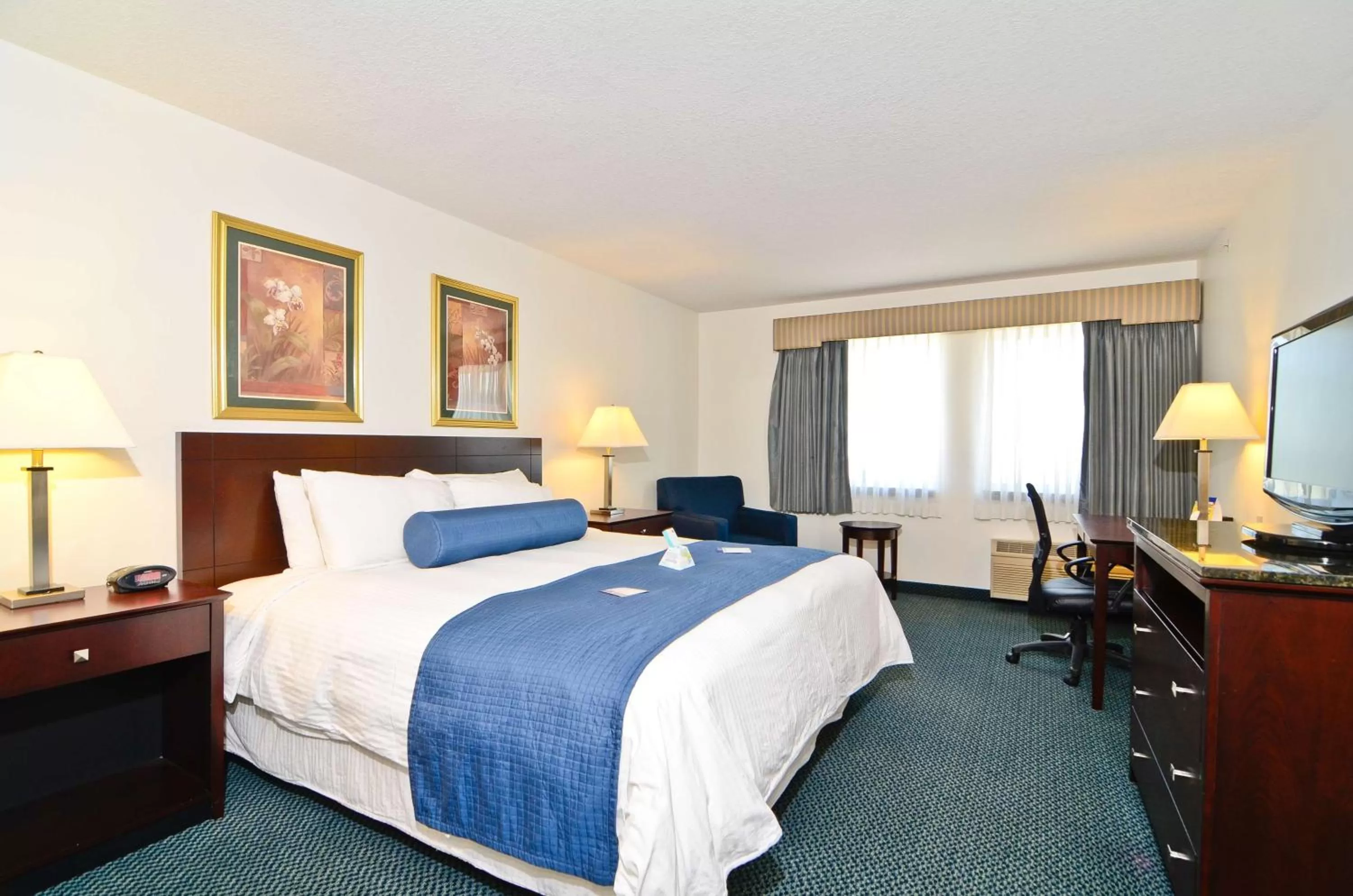 Photo of the whole room, Bed in Best Western Gas City
