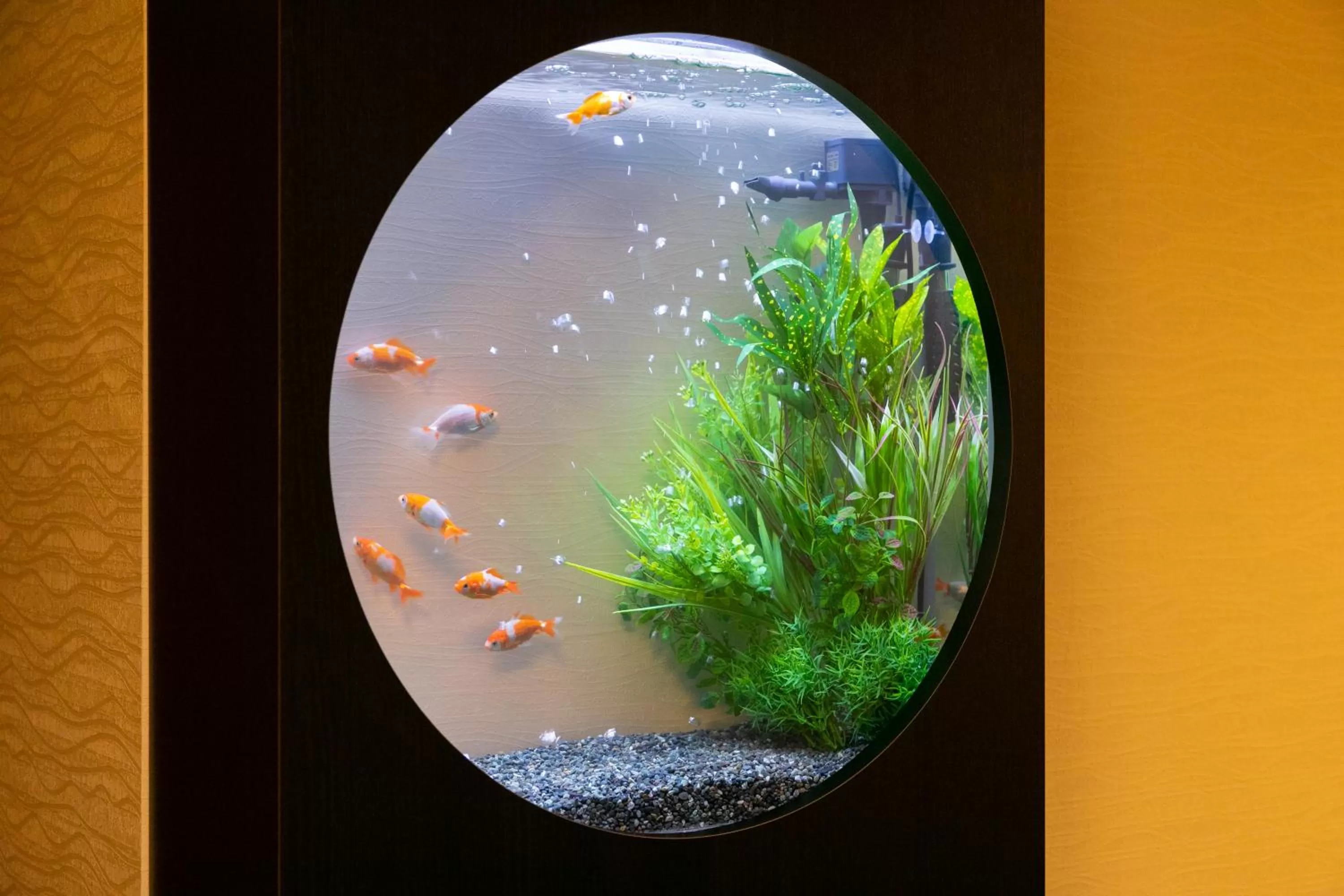 Hotel Eldia Luxury Kobe (Adult Only)