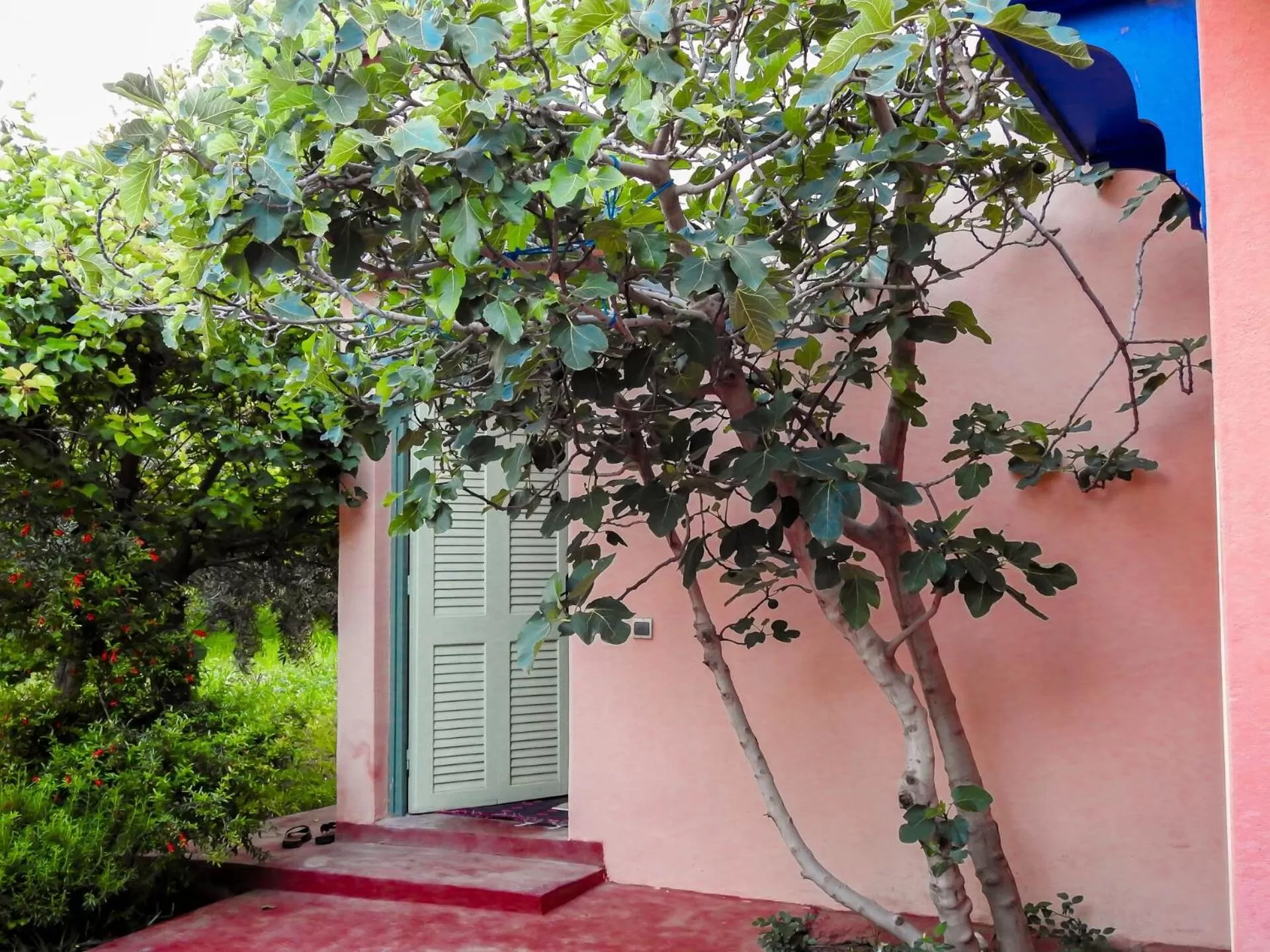 Food in Le Bleu House