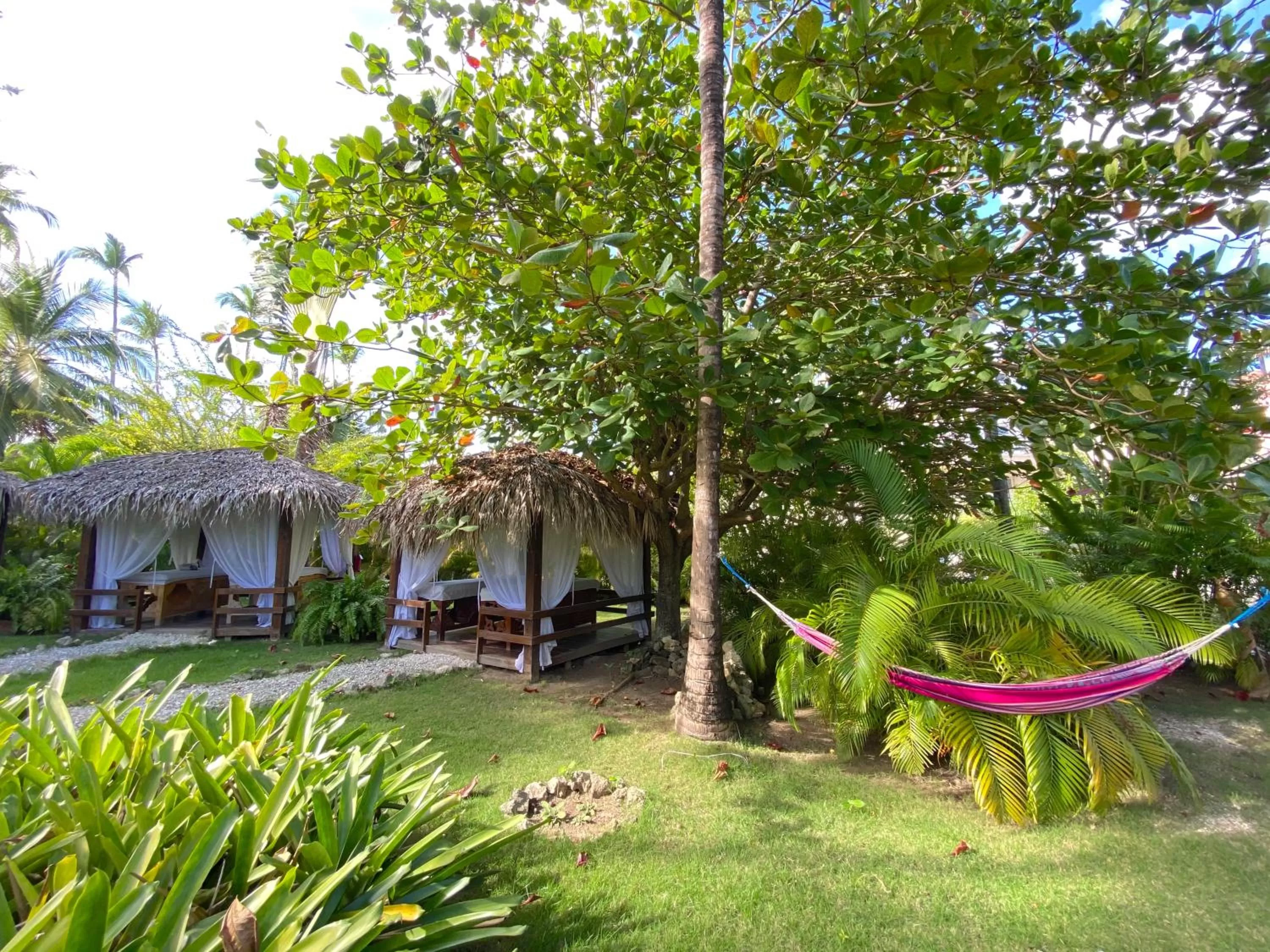 Garden view in TROPICAL VILLAGE playa LOS CORALES