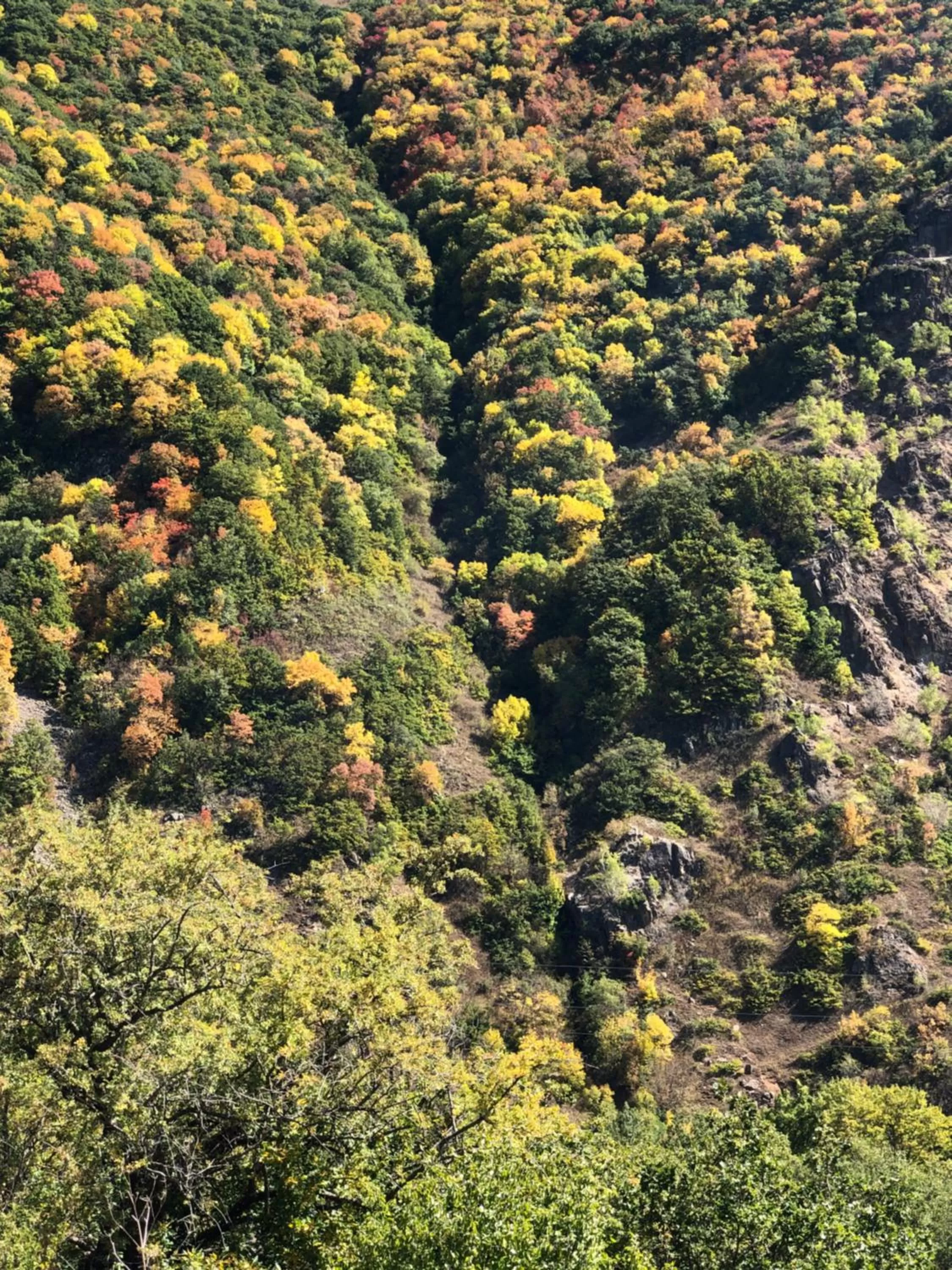 Garden view in Jermuk Ani Hotel