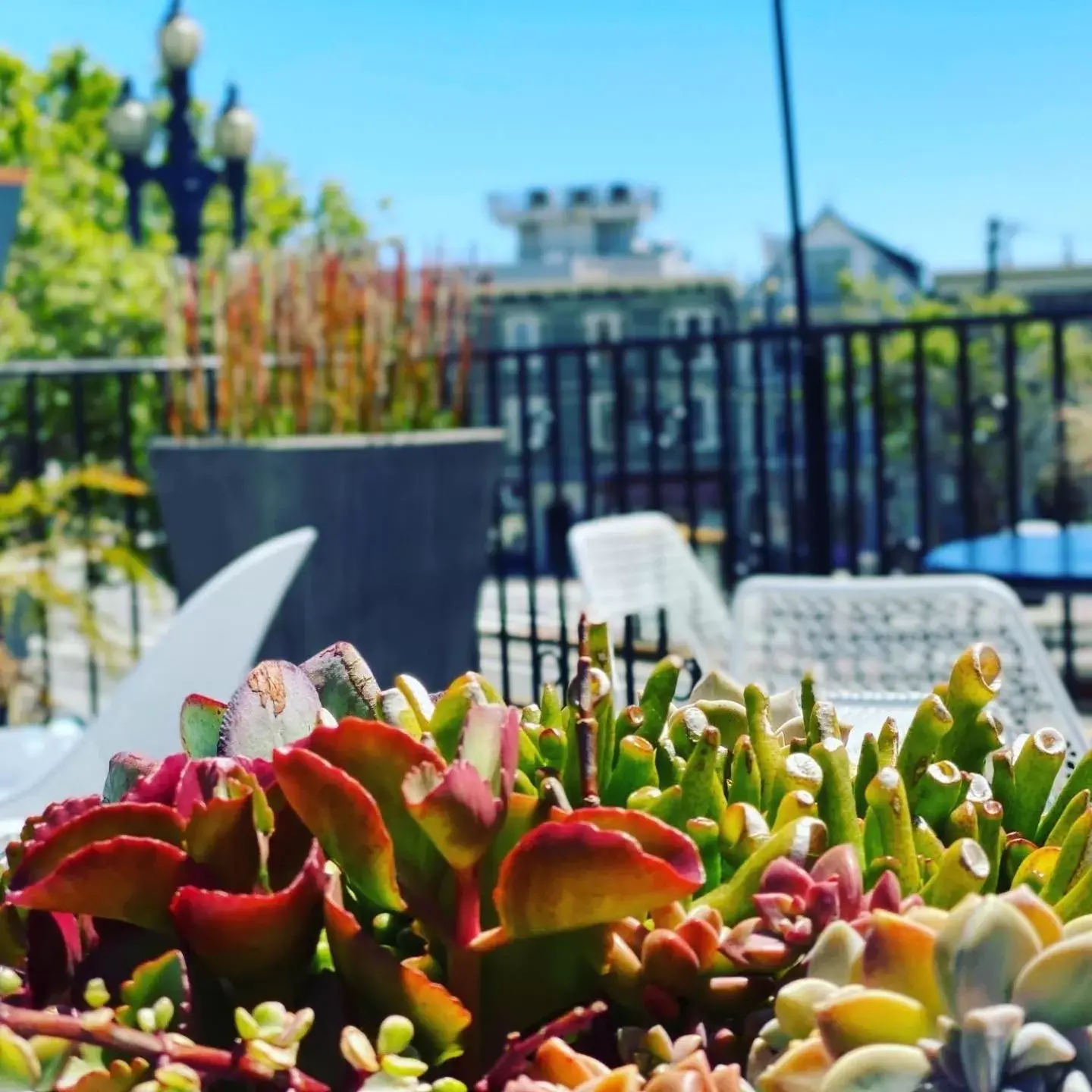 Patio in Beck's Motor Lodge Patio in Beck's Motor Lodge
