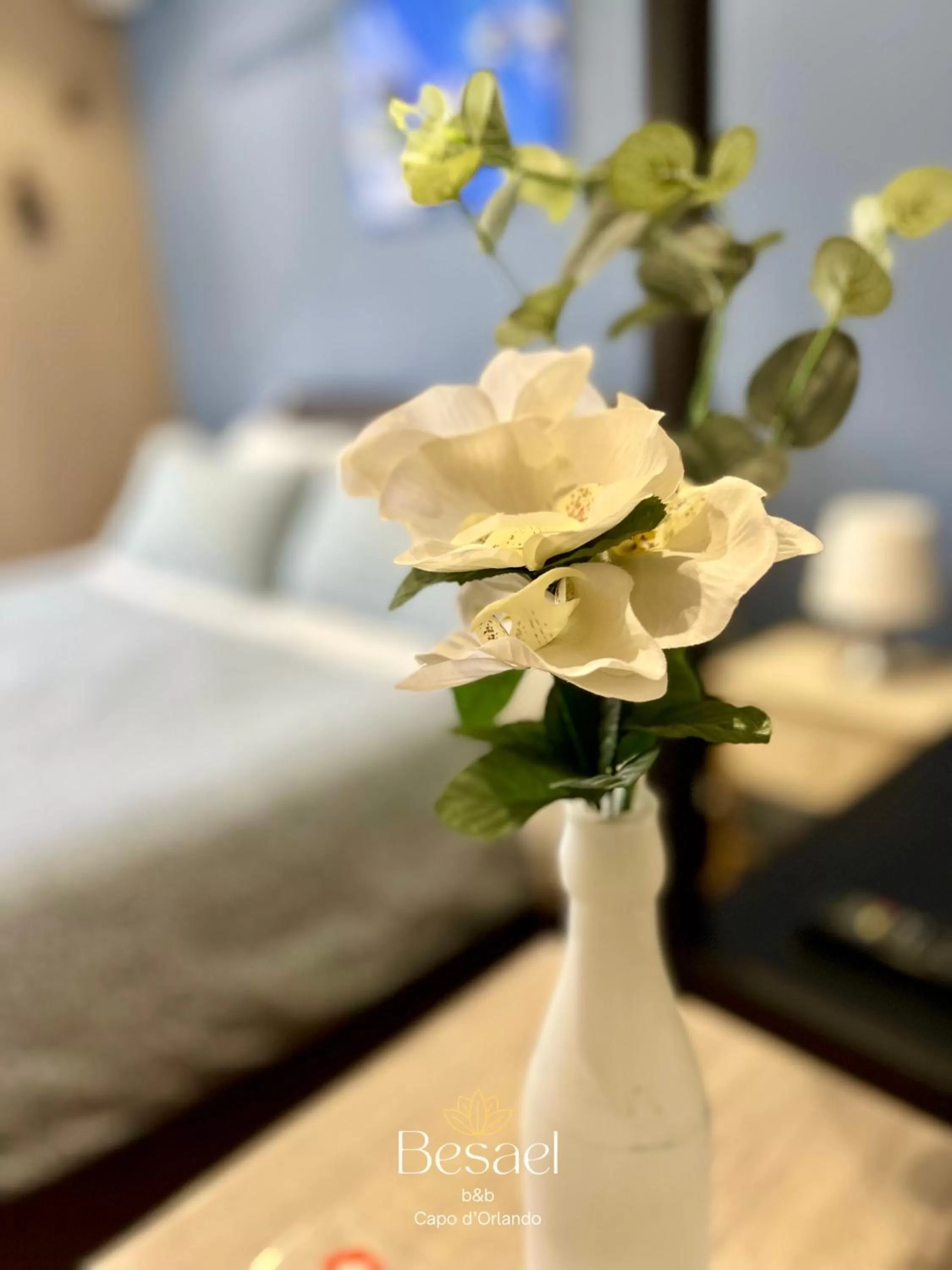 Besael b&b Capo d'Orlando