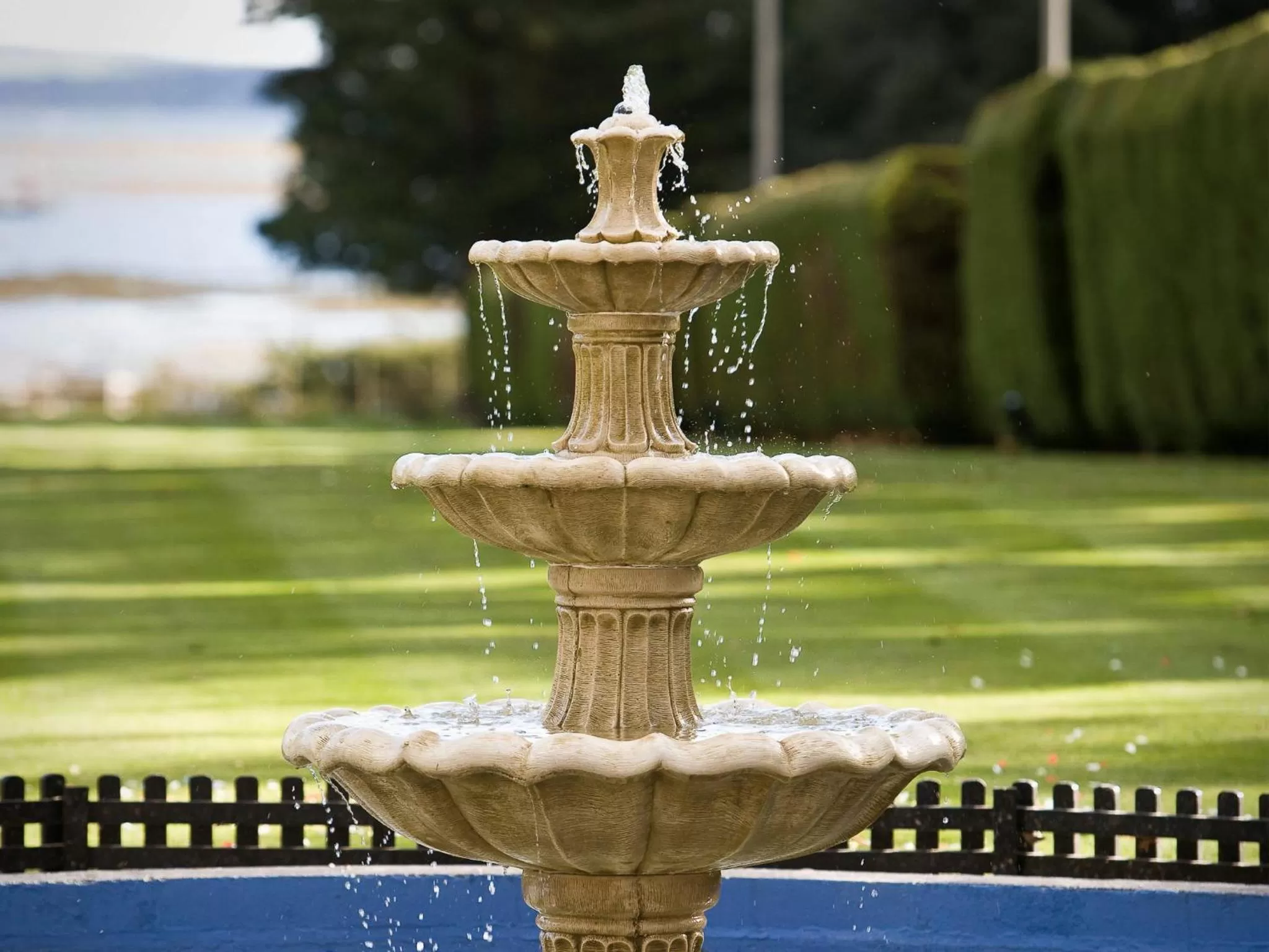 Garden in Elmers Court Hotel