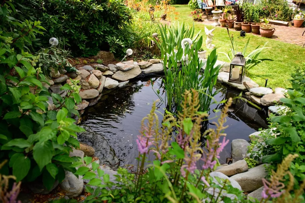 Garden in Gardenview Bed and Breakfast