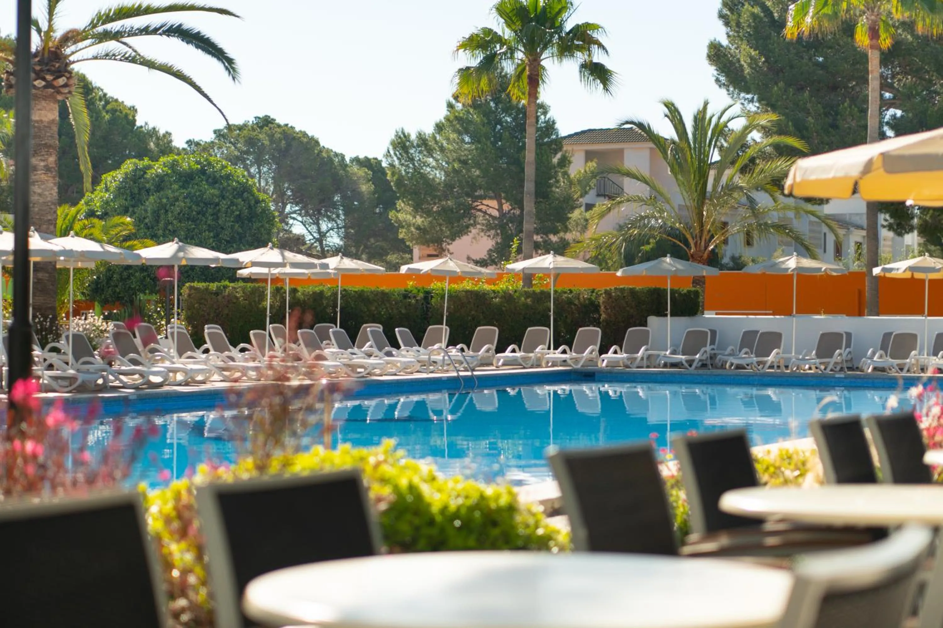 Swimming pool in Hotel Millor Sol