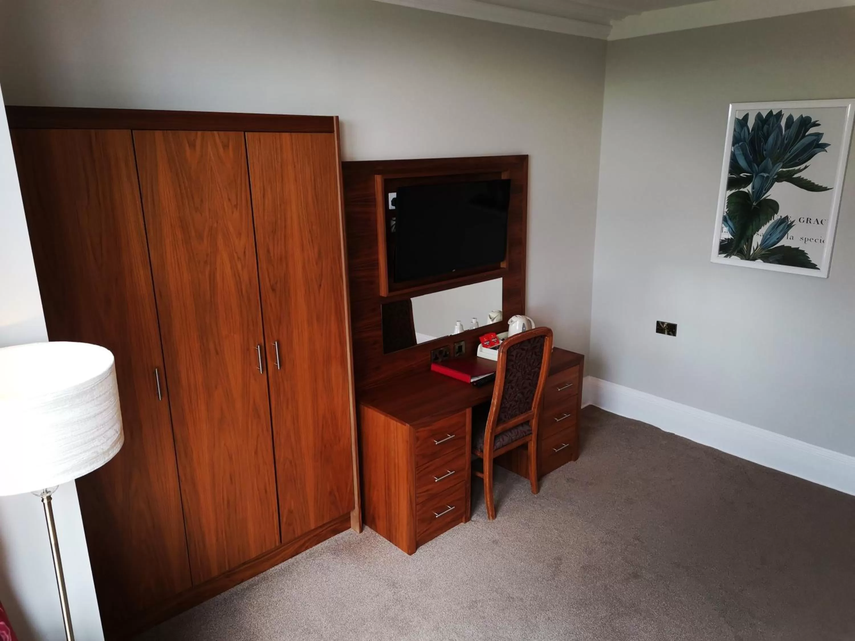 TV and multimedia, TV/Entertainment Center in The Red Lea Hotel