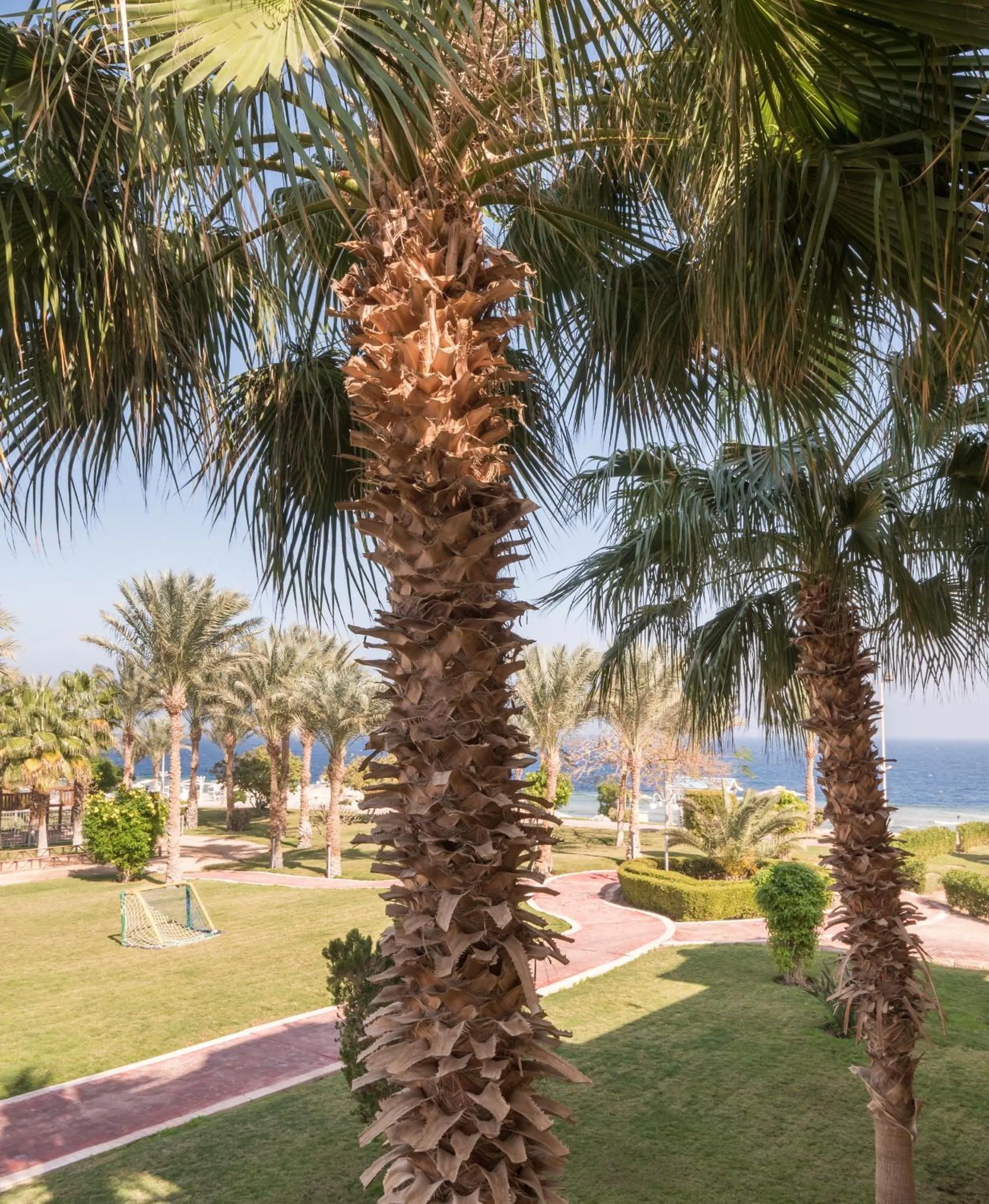 Garden in Serenity Alpha Beach - Ex Serenity Makadi Beach