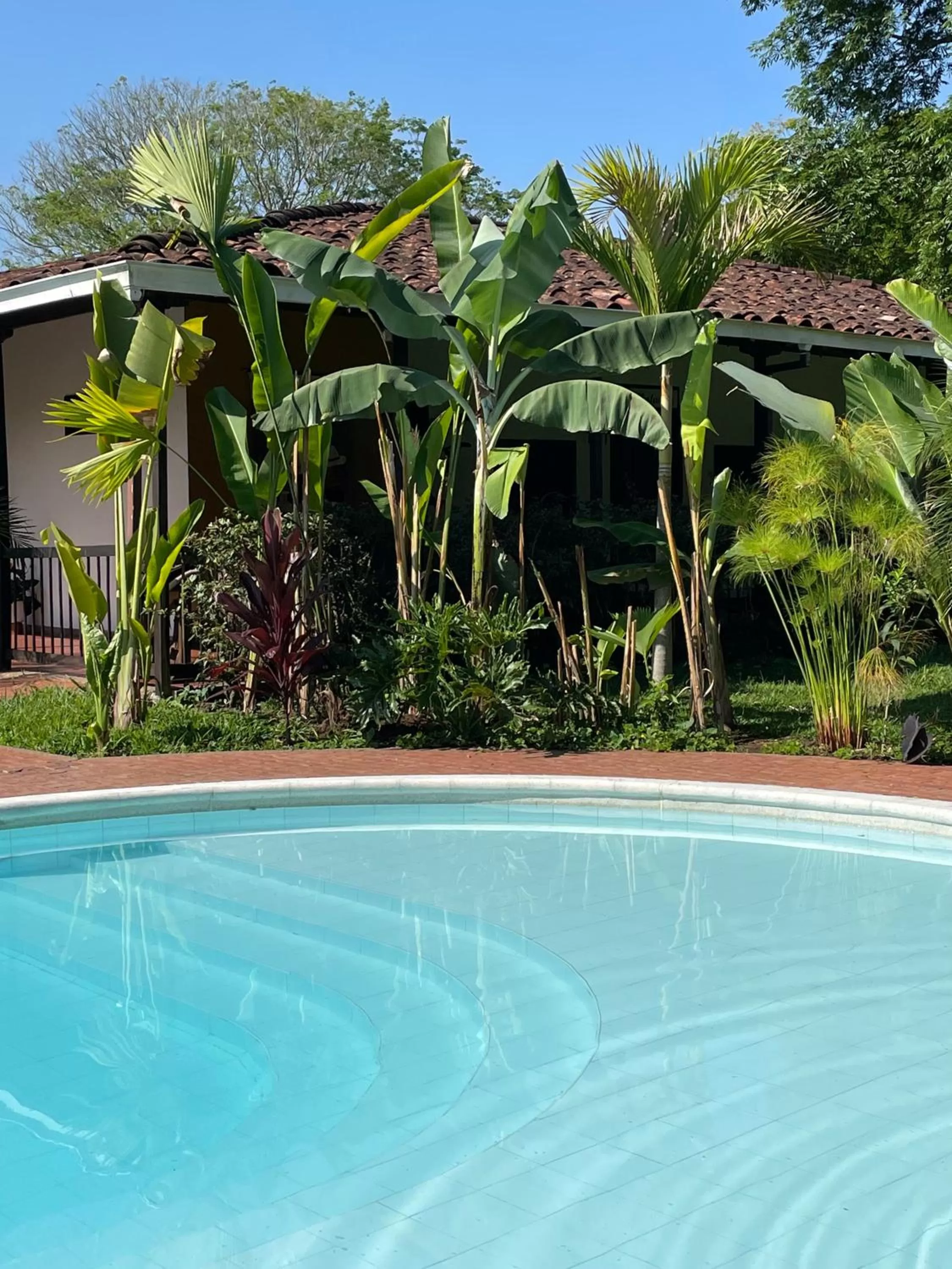 Garden in MuchoSur Quimbaya