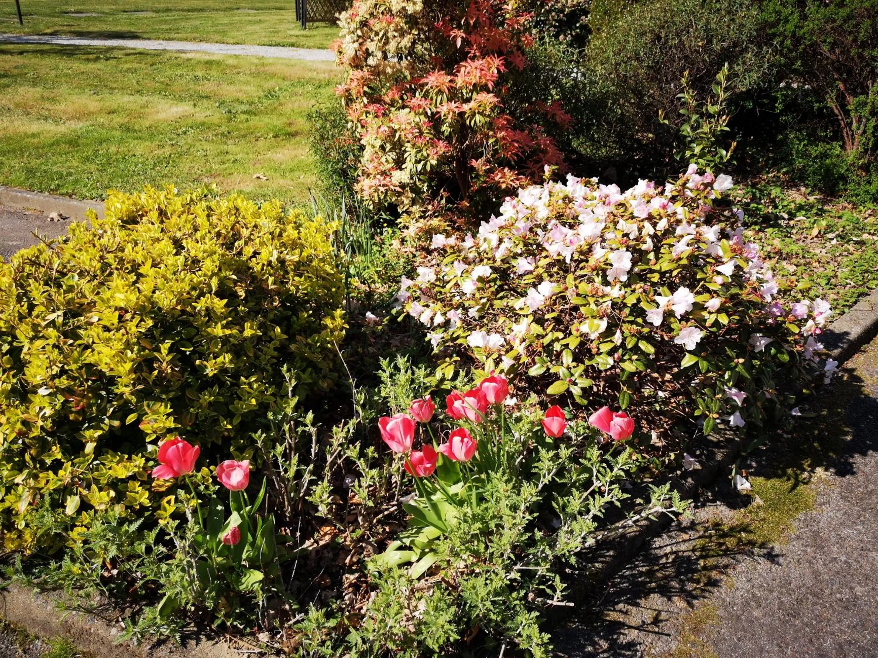 Garden in Best Western Auray le Loch