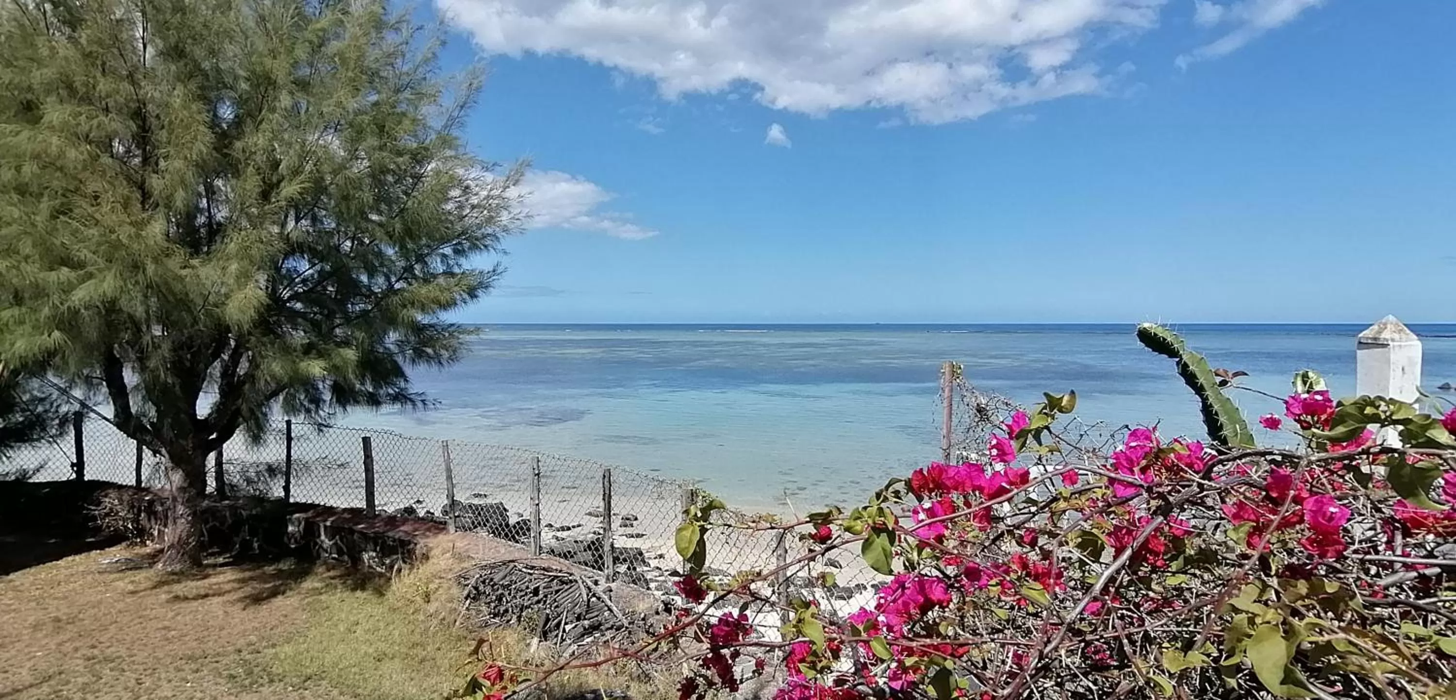 Garden view, Beach in La Maison de la plage