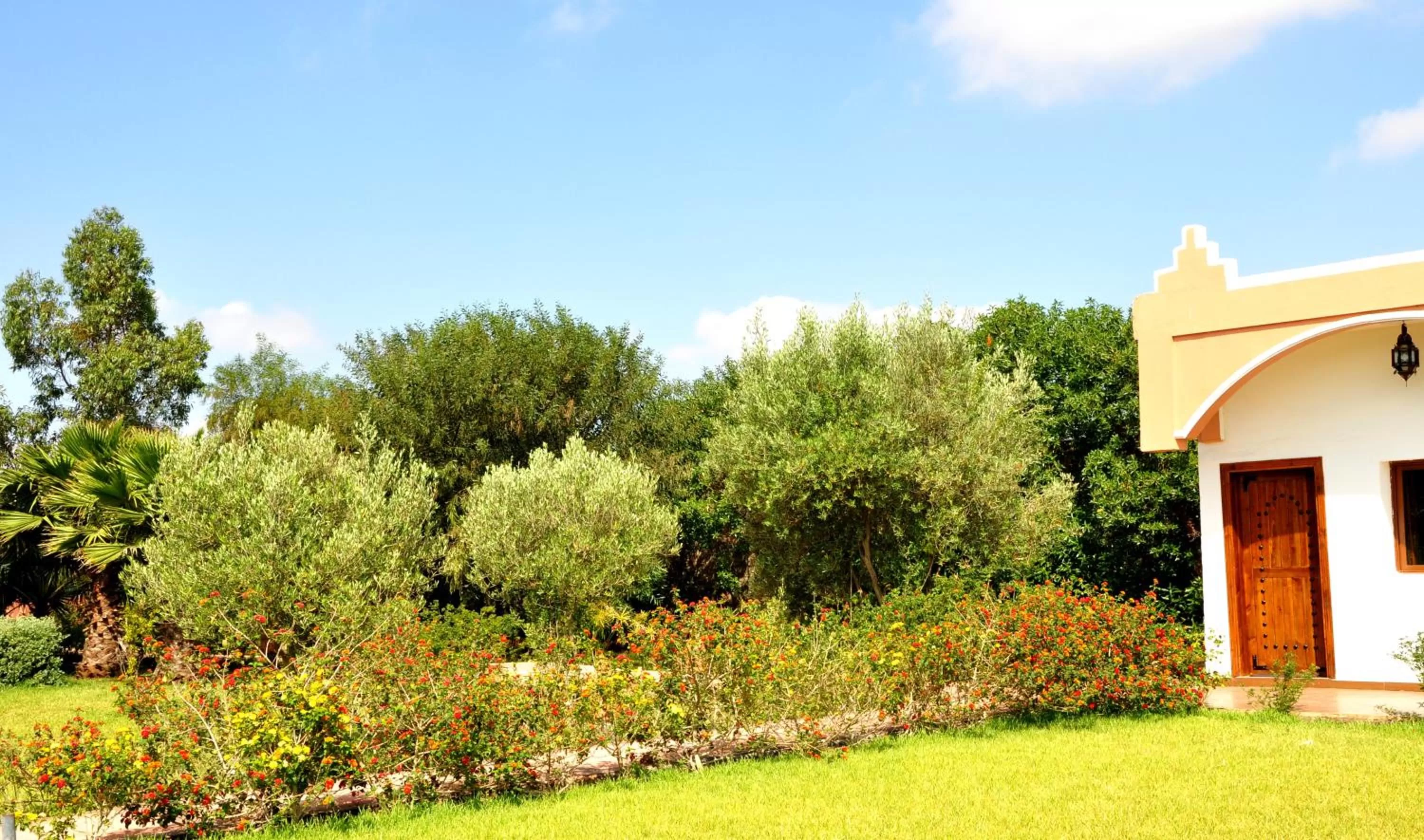 Garden view, Garden in Riad Hamdani