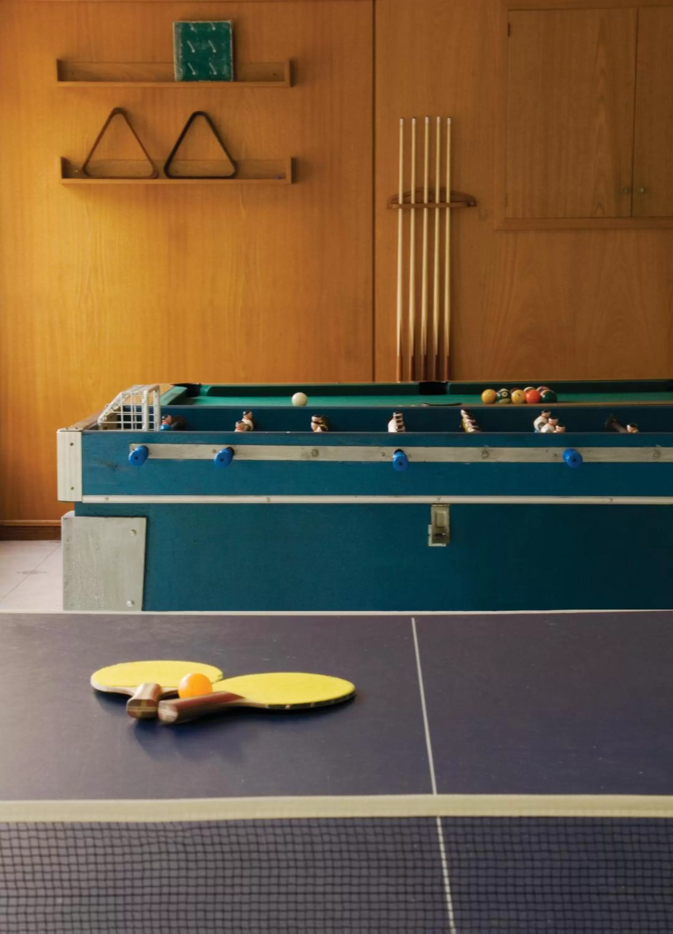 Activities, Billiards in Hotel Ricadi