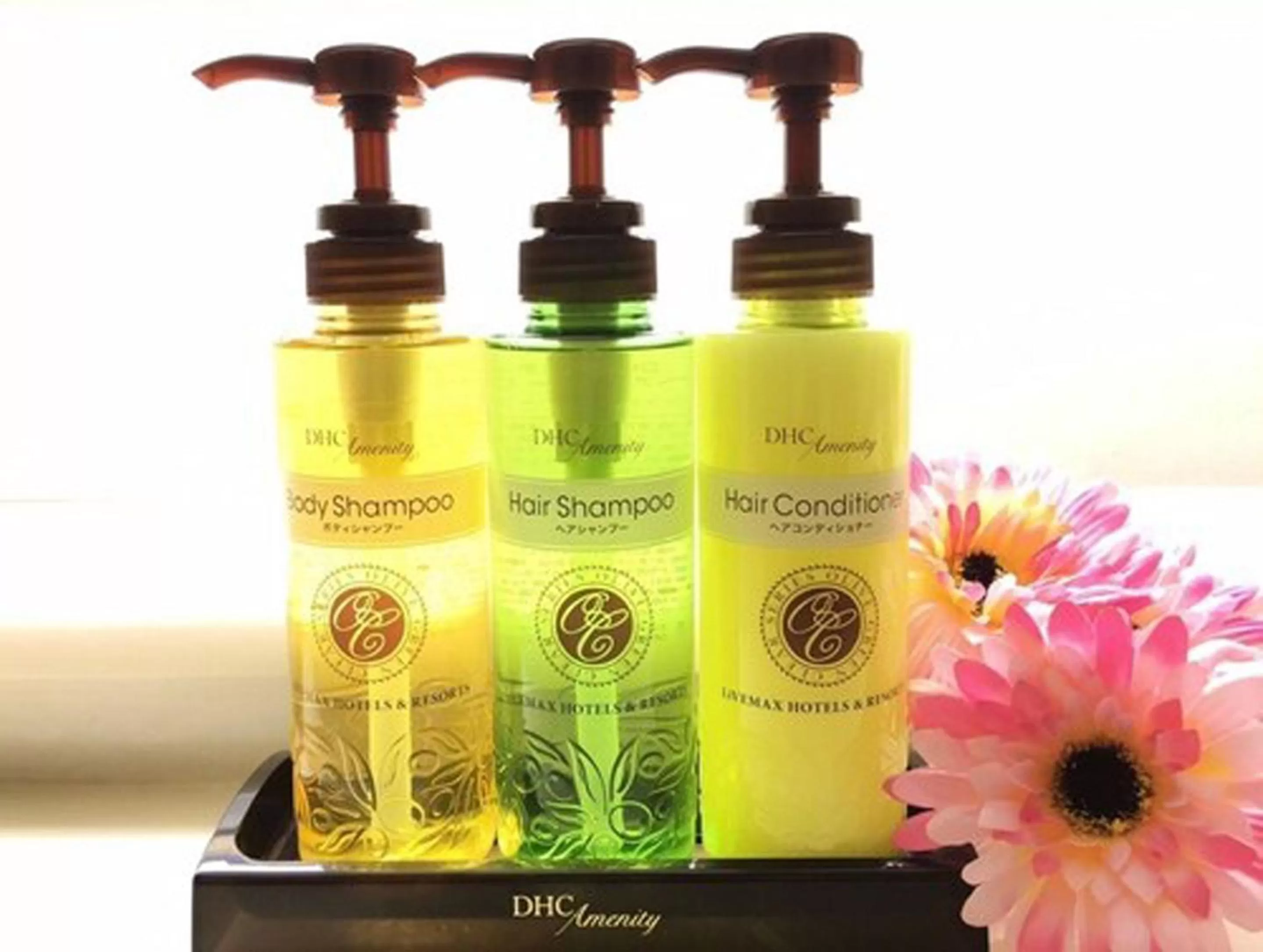 Area and facilities in HOTEL LiVEMAX Fukuoka Tenjin