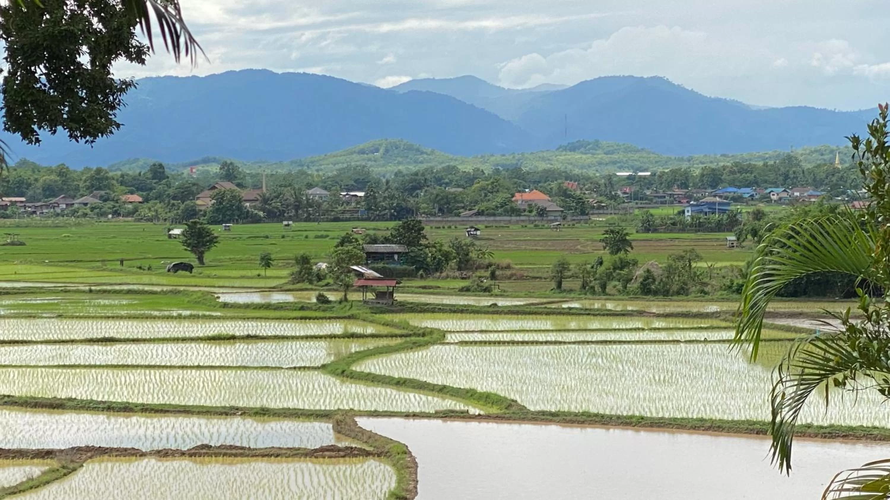 Natural landscape in Nan Seasons Boutique Resort