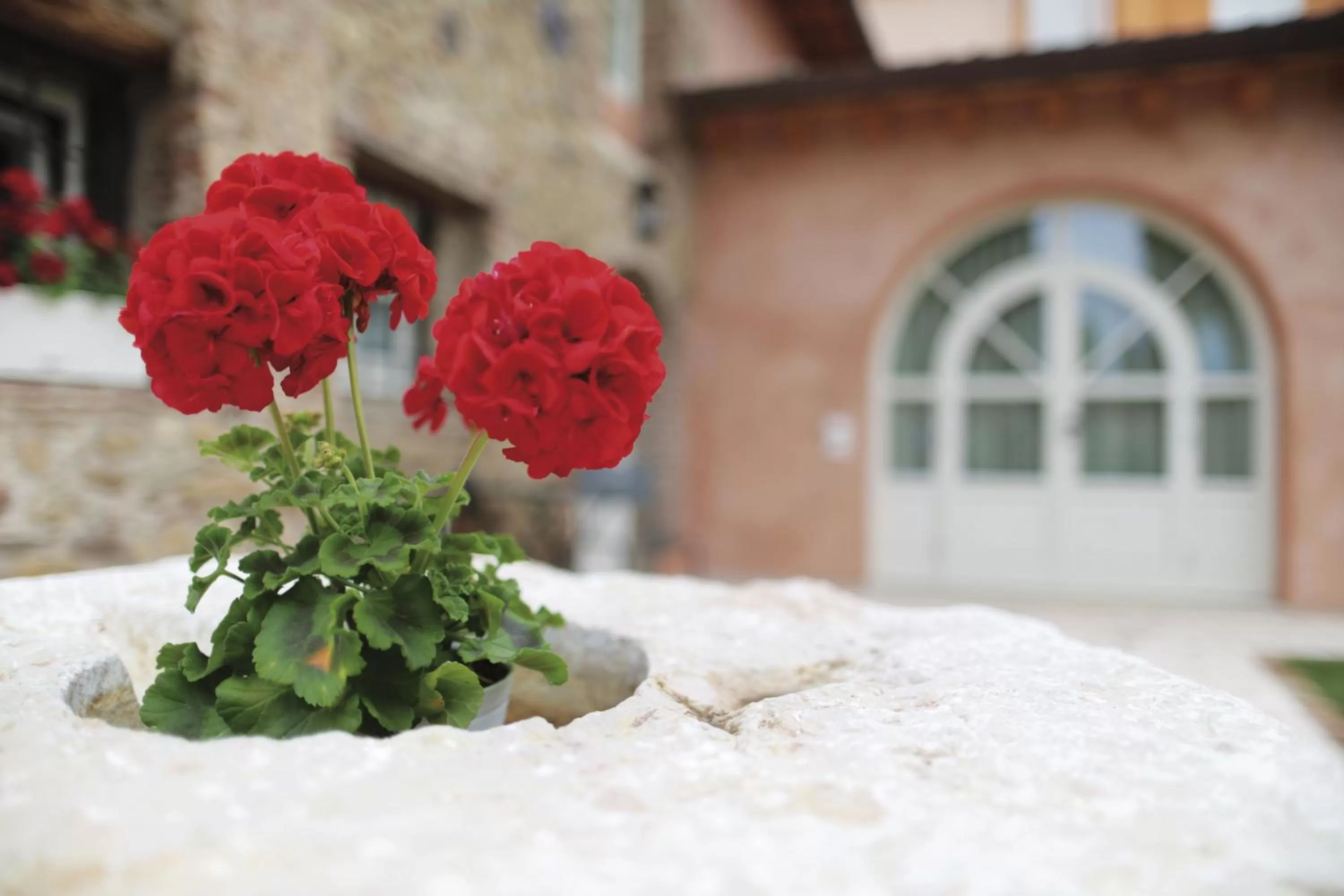 Facade/entrance in Residence Corte San Carlo