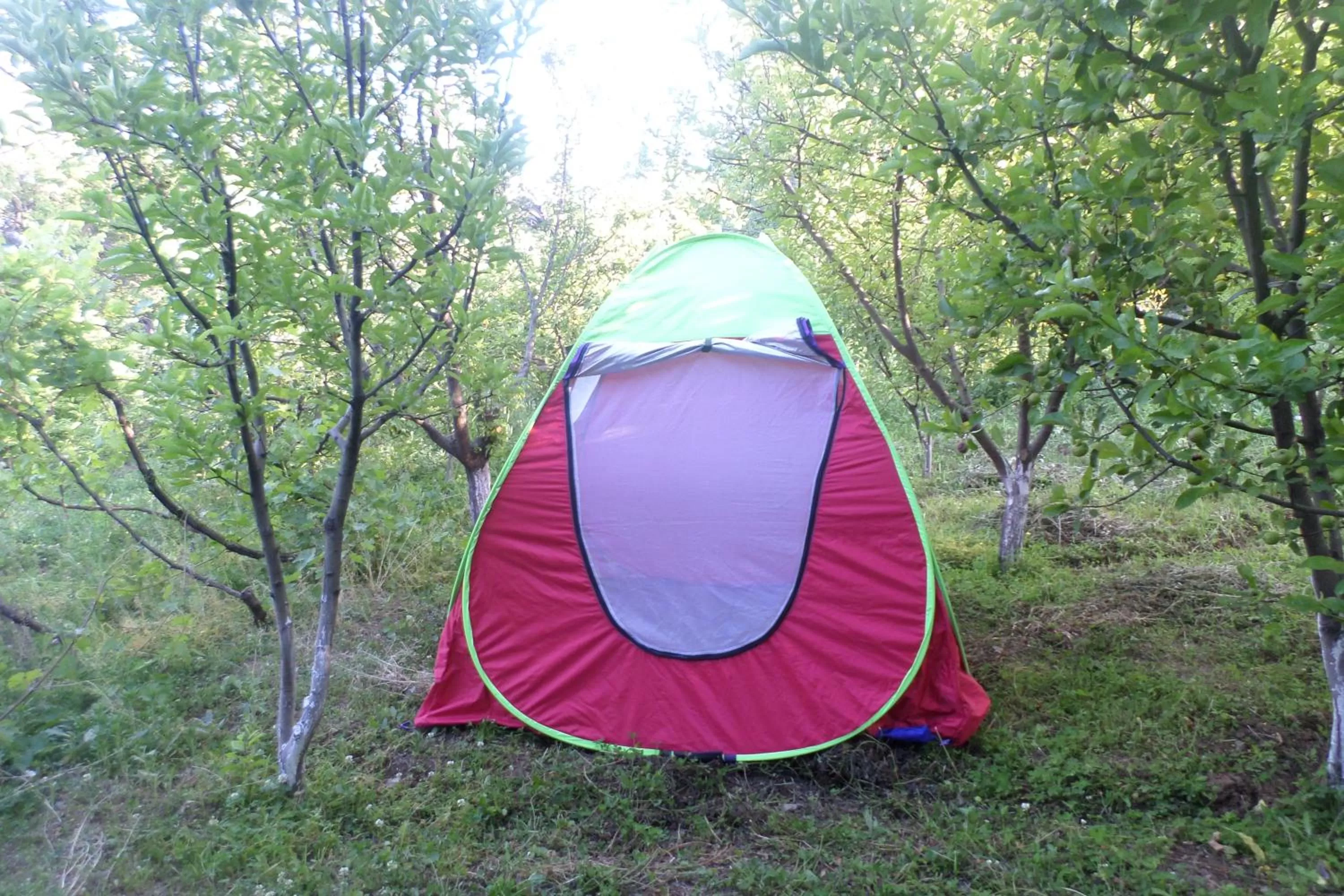 Property building, Spa/Wellness in Spandaryan House