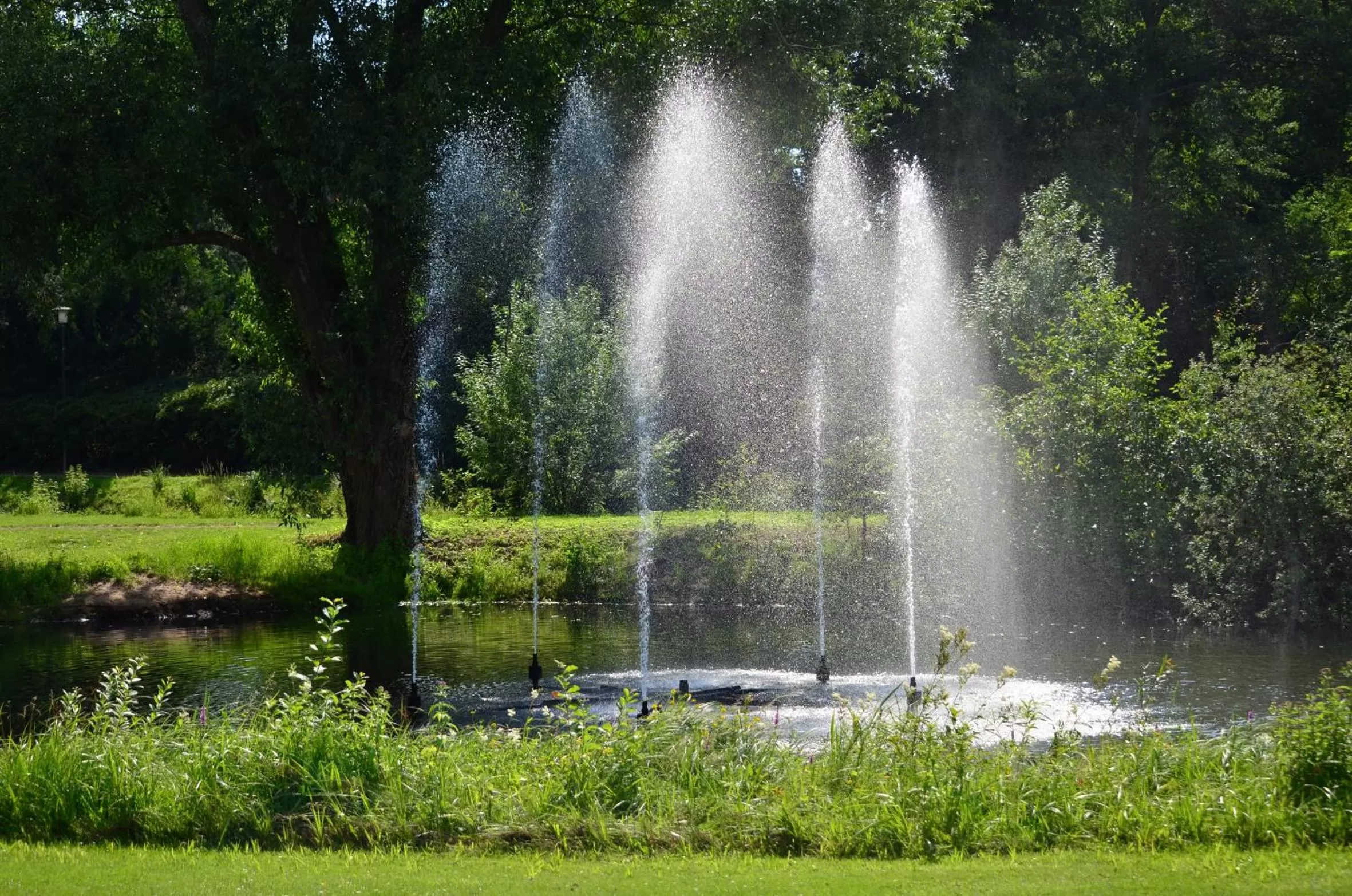 Other in VitalHotel Ascona