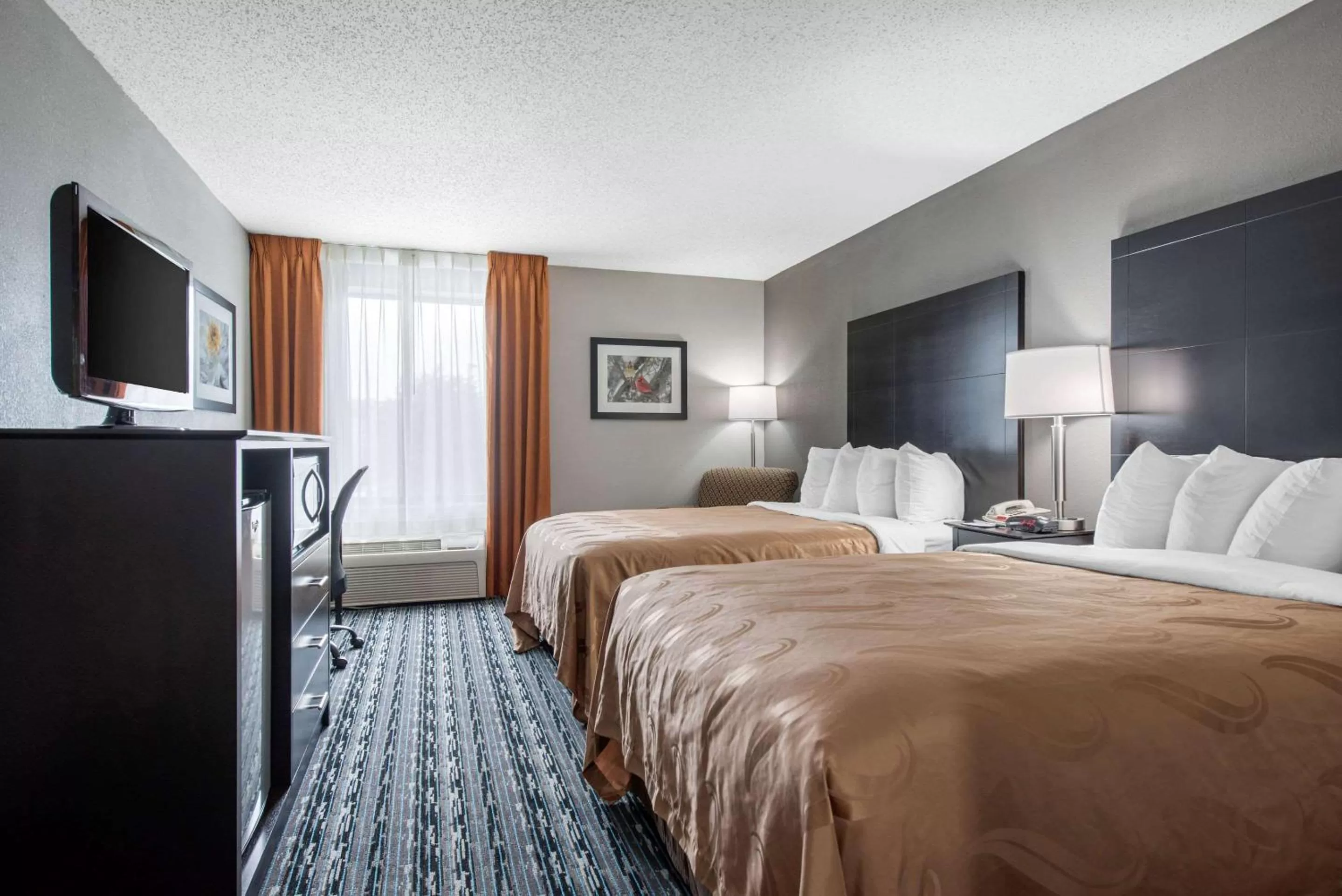 Photo of the whole room, Bed in Quality Inn & Suites Brownsburg - Indianapolis West
