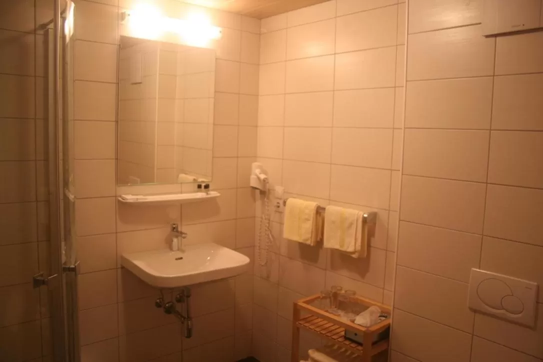 Bathroom in Hotel Engl