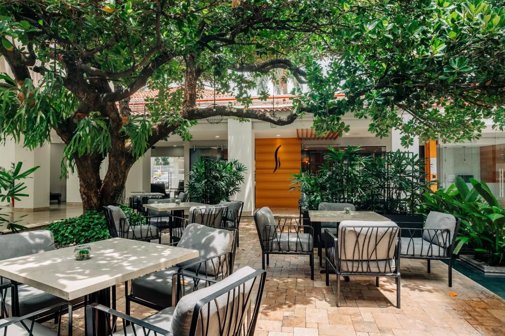 Restaurant/places to eat in Hilton San Salvador