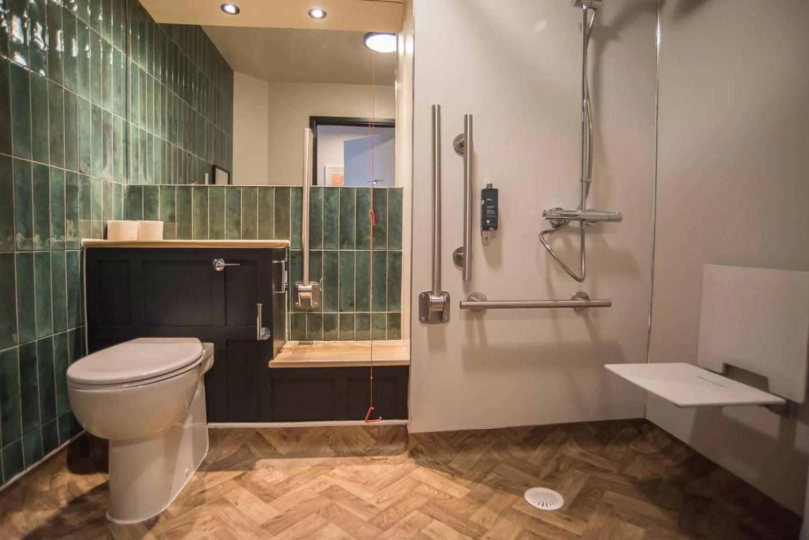 Shower in Cat & Lion Country Pub and Hotel