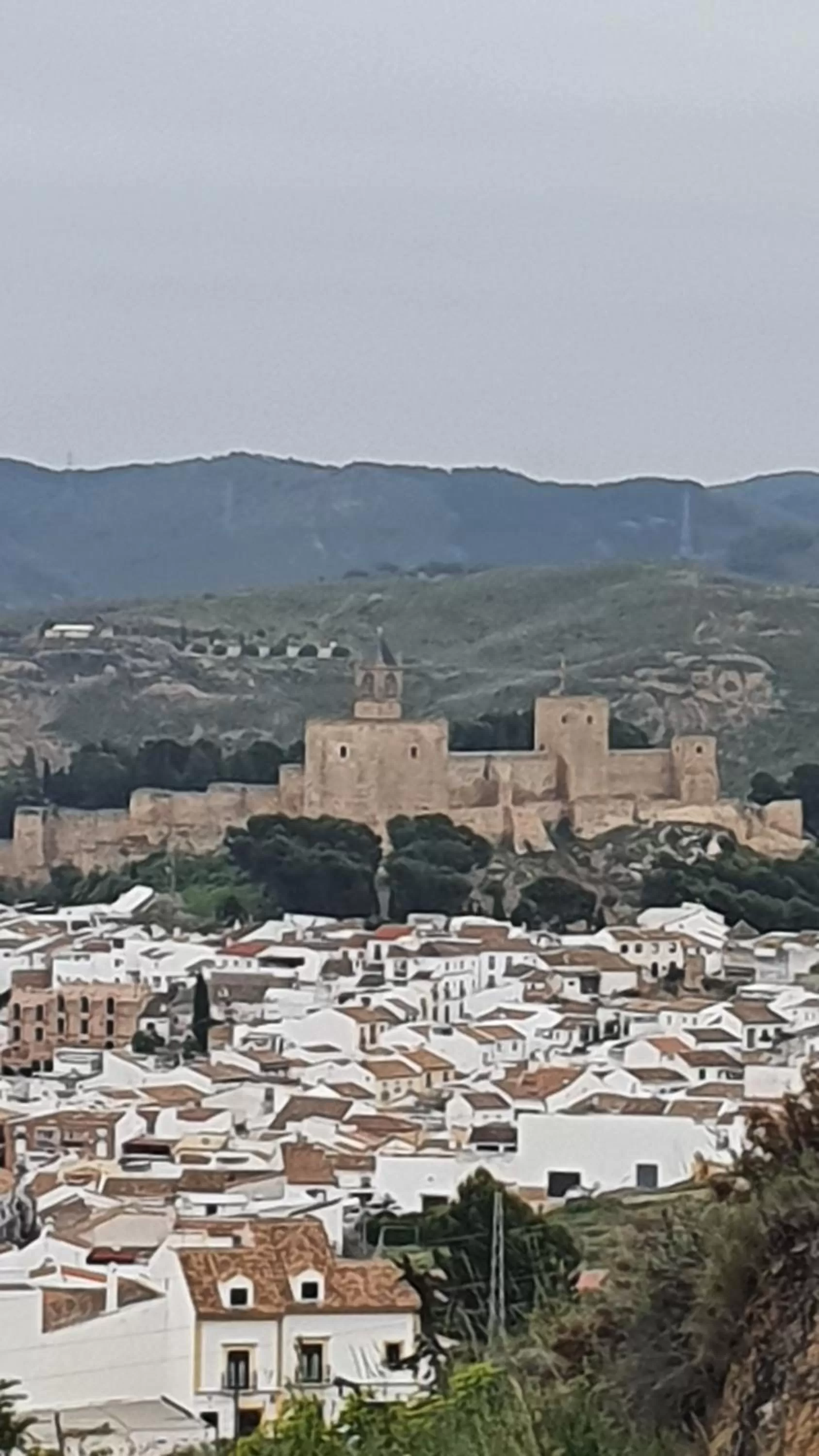 Activities in Coso Viejo