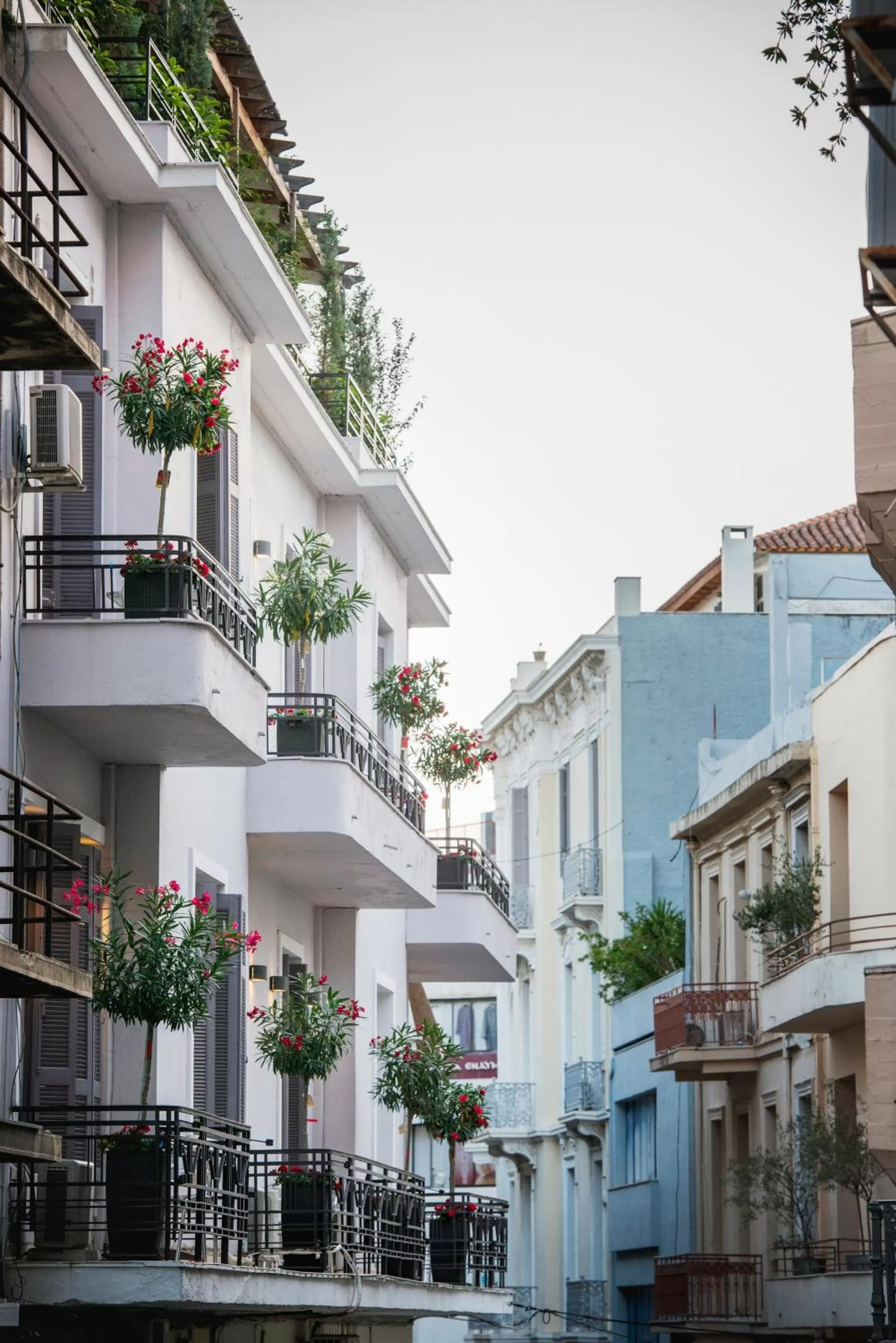 Property building in Kimon Hotel Athens