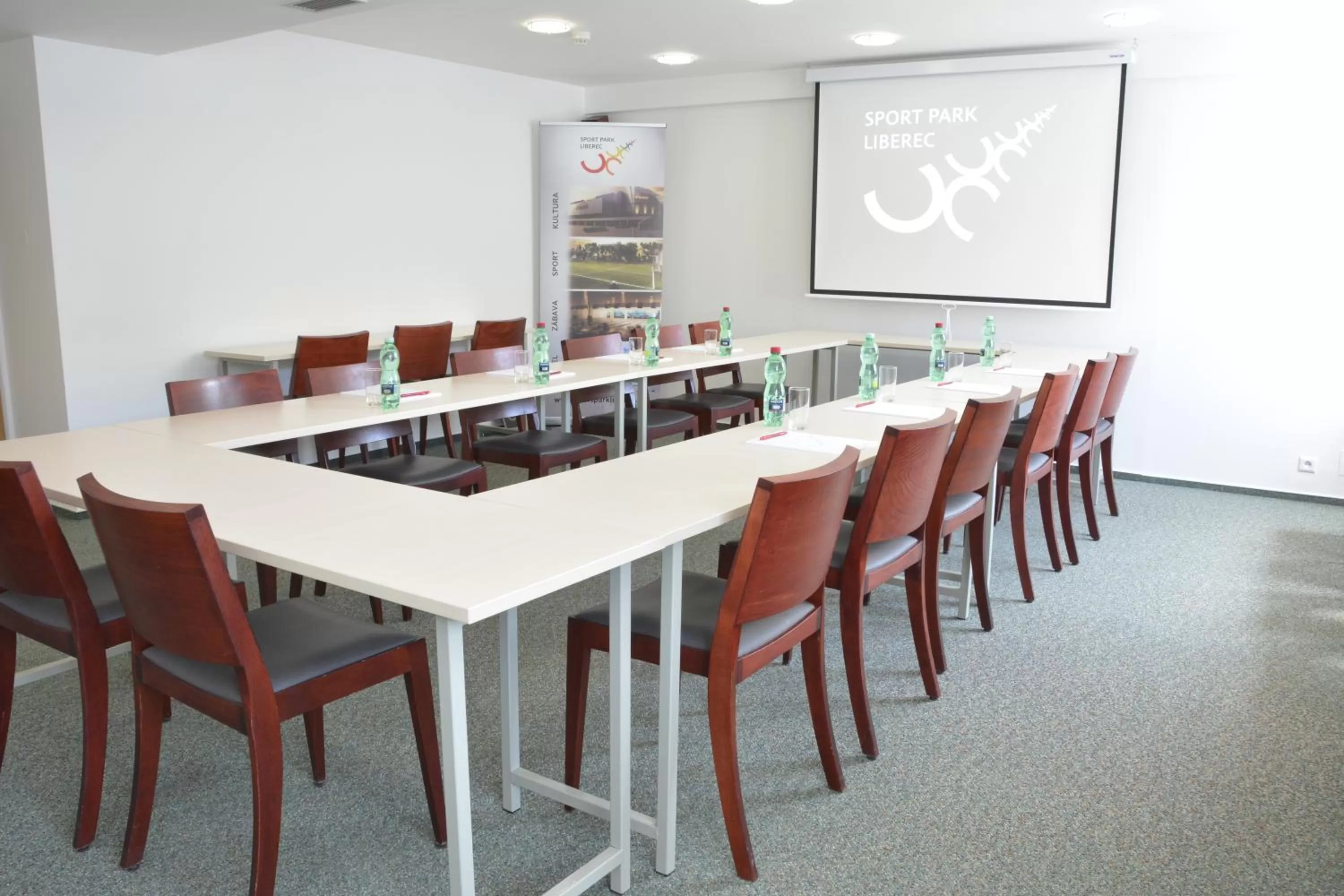 Business facilities in Hotel Arena Liberec