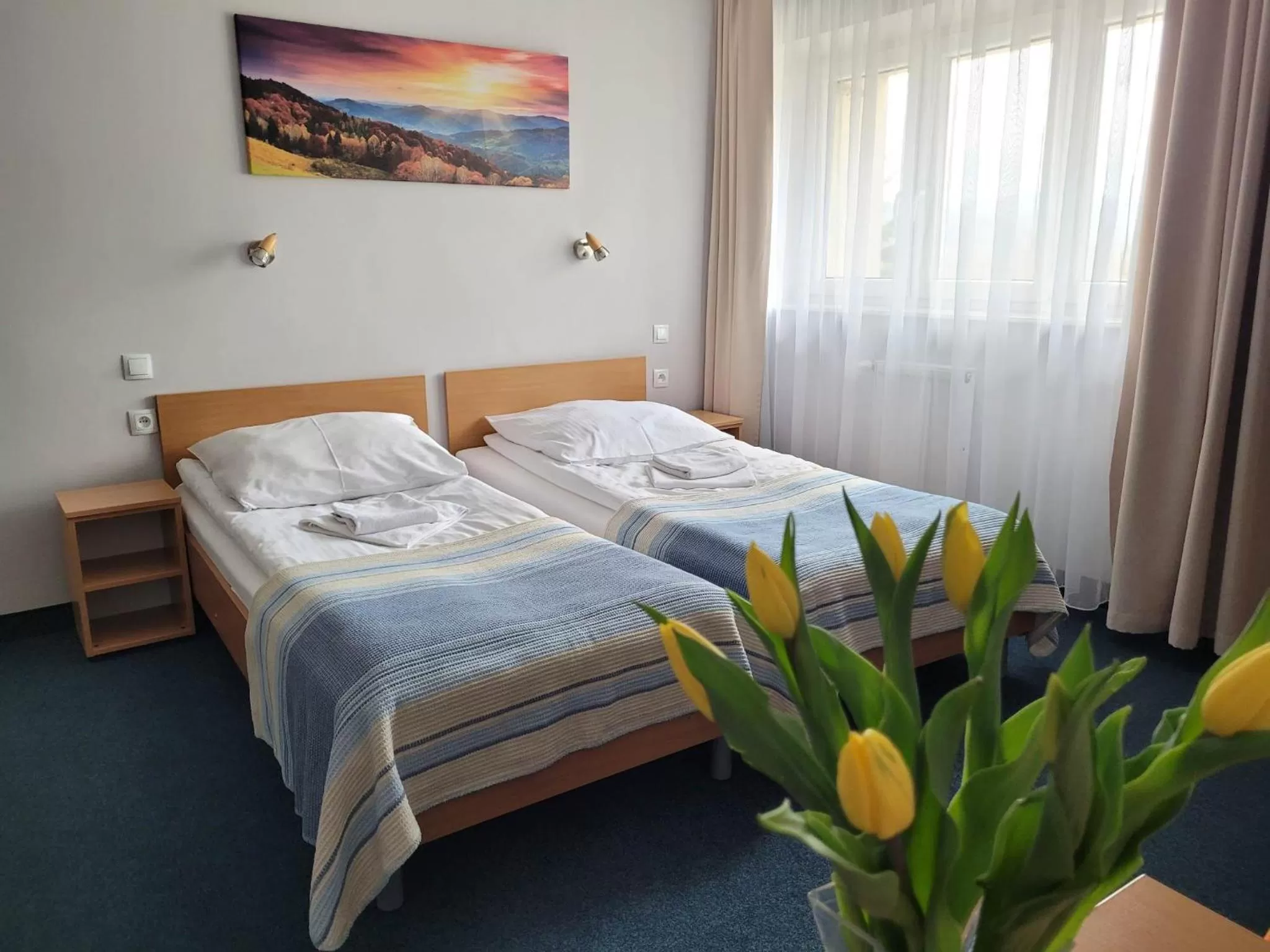 Bed in Hotel *** NAT Wisła